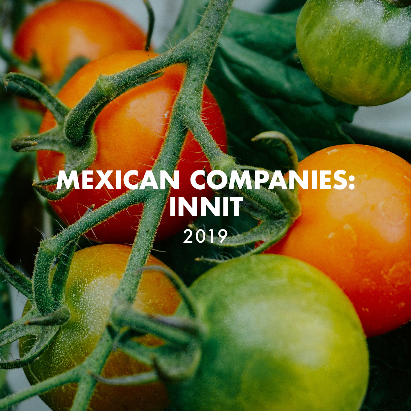 Companies with Mexican Origin: Innit