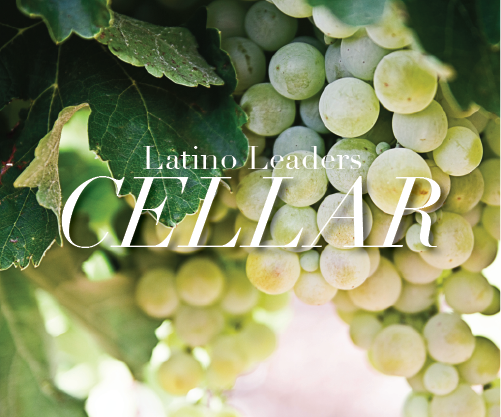 Hugo del Pozzo en Ribera del Duero: Cellar