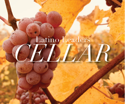 Pine Ridge Vineyards: Cellar