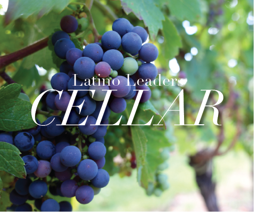 Elements of Wine Production: Cellar