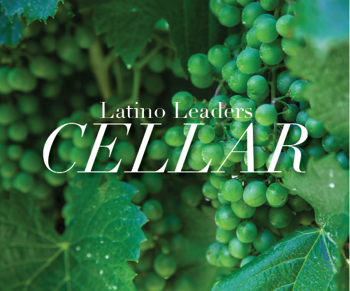 From Mexico, With Love: Cellar
