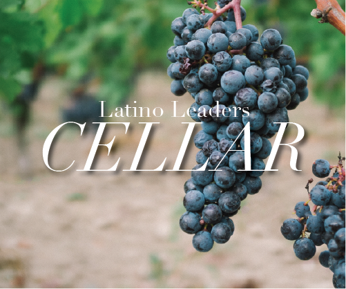 "When Wine Takes You Out of this World": Cellar