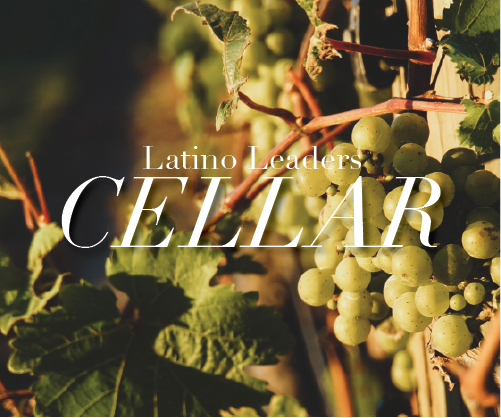 South African Surprise: Cellar