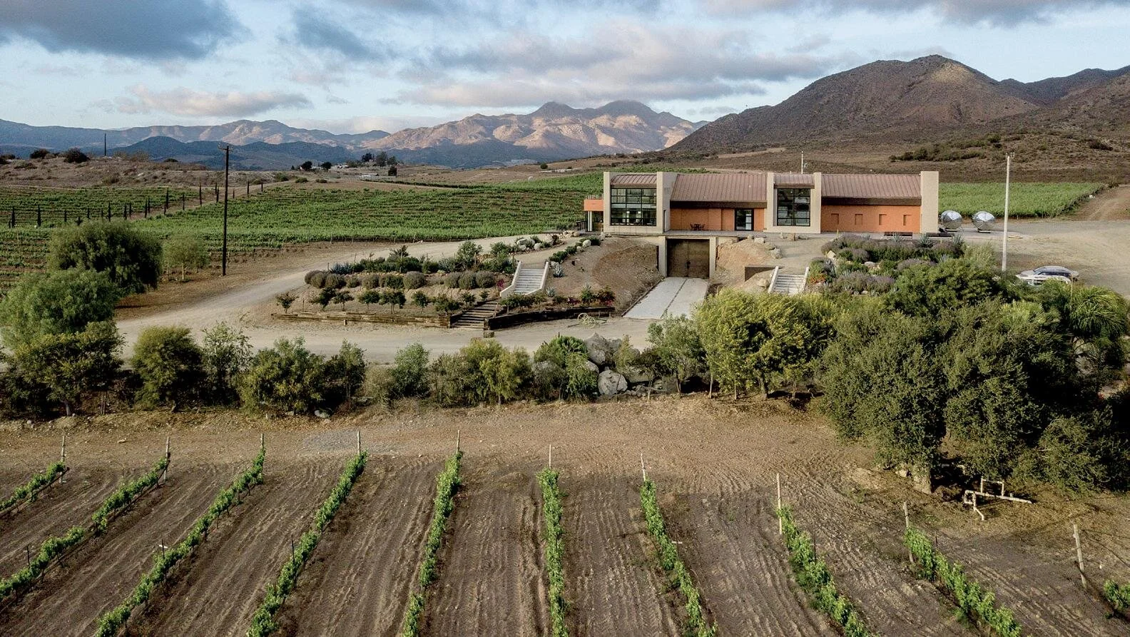 ALDO CESAR PALAFOX VINOS Y VIÑEDOS