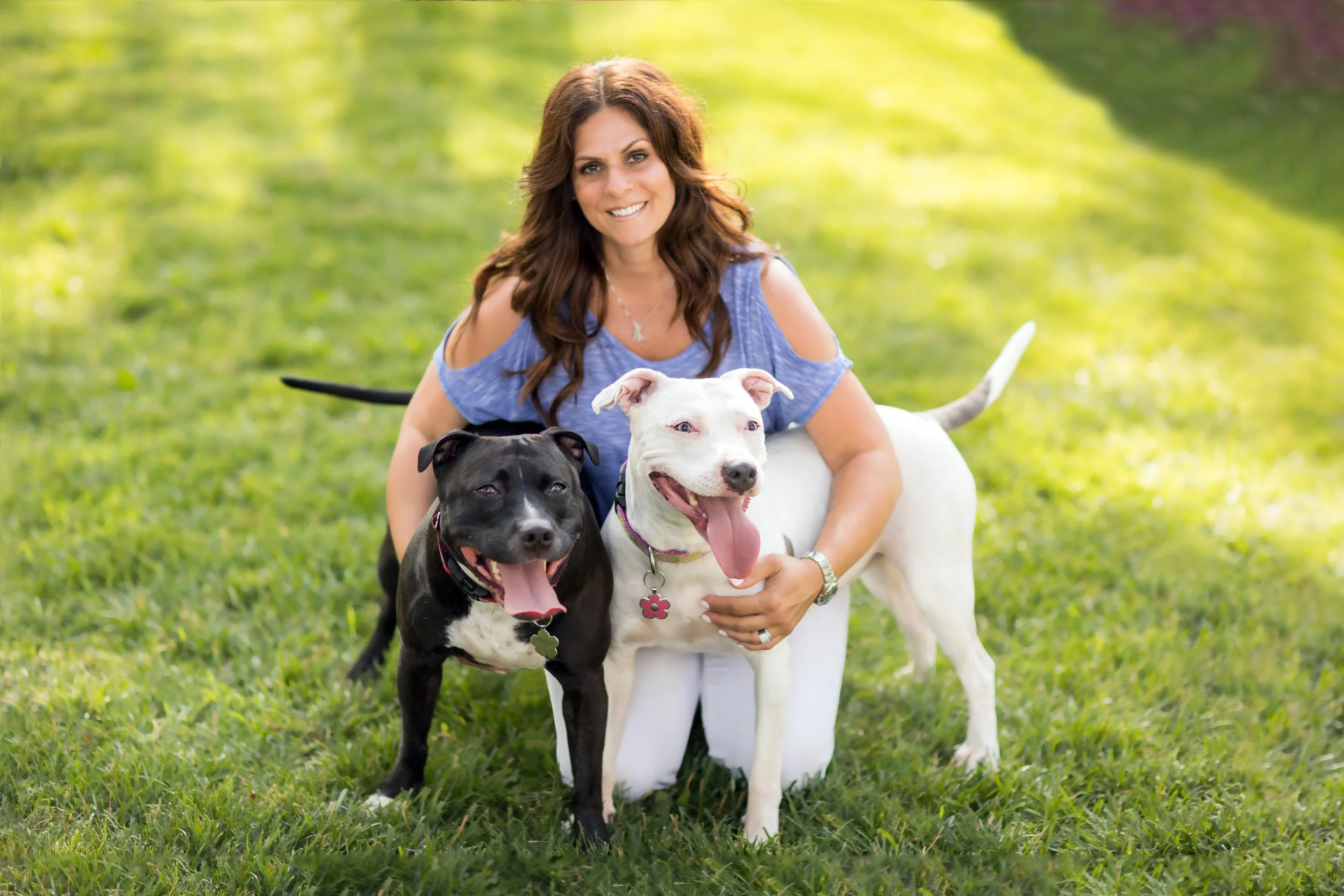paws dog training