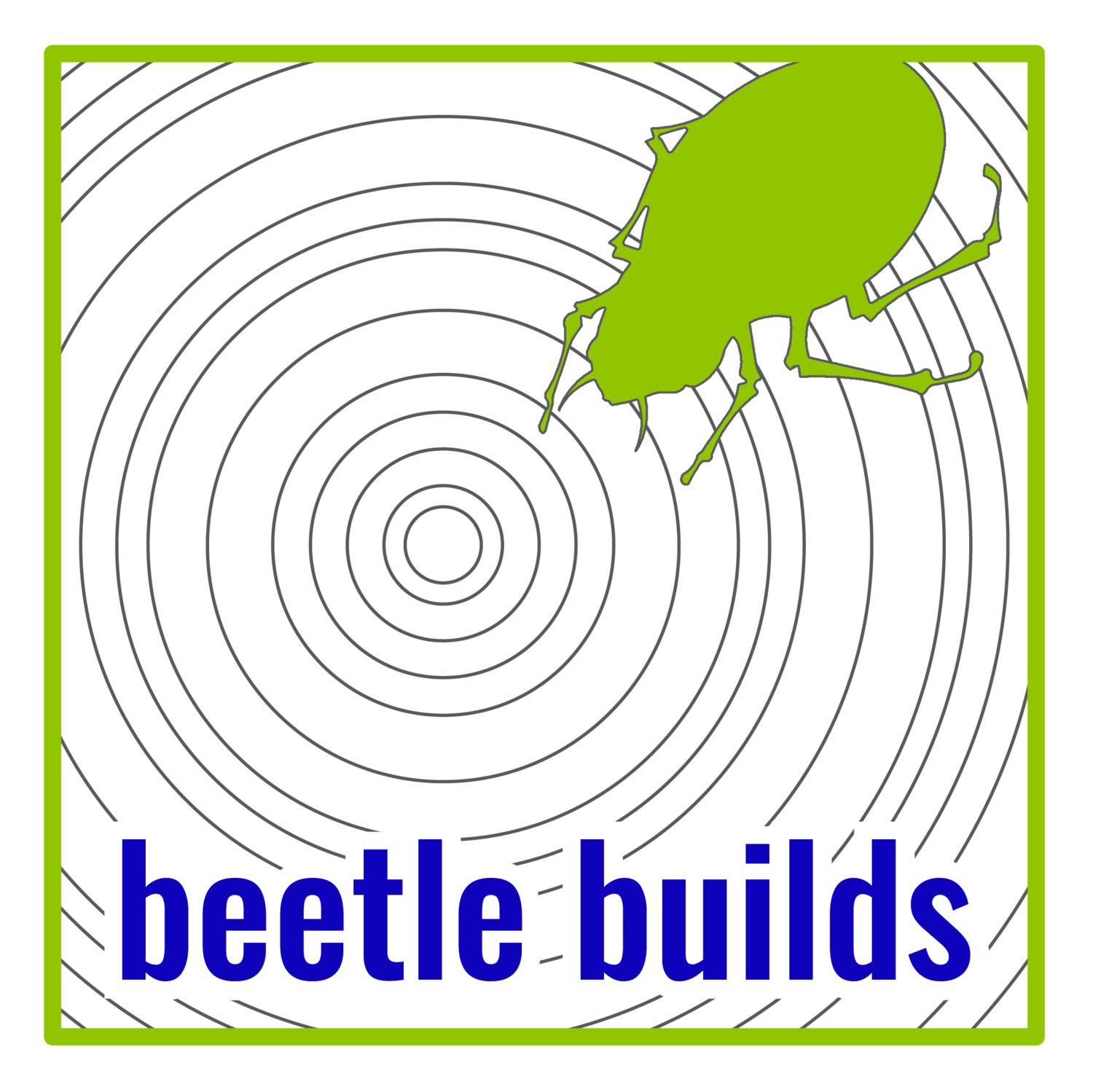 beetle builds