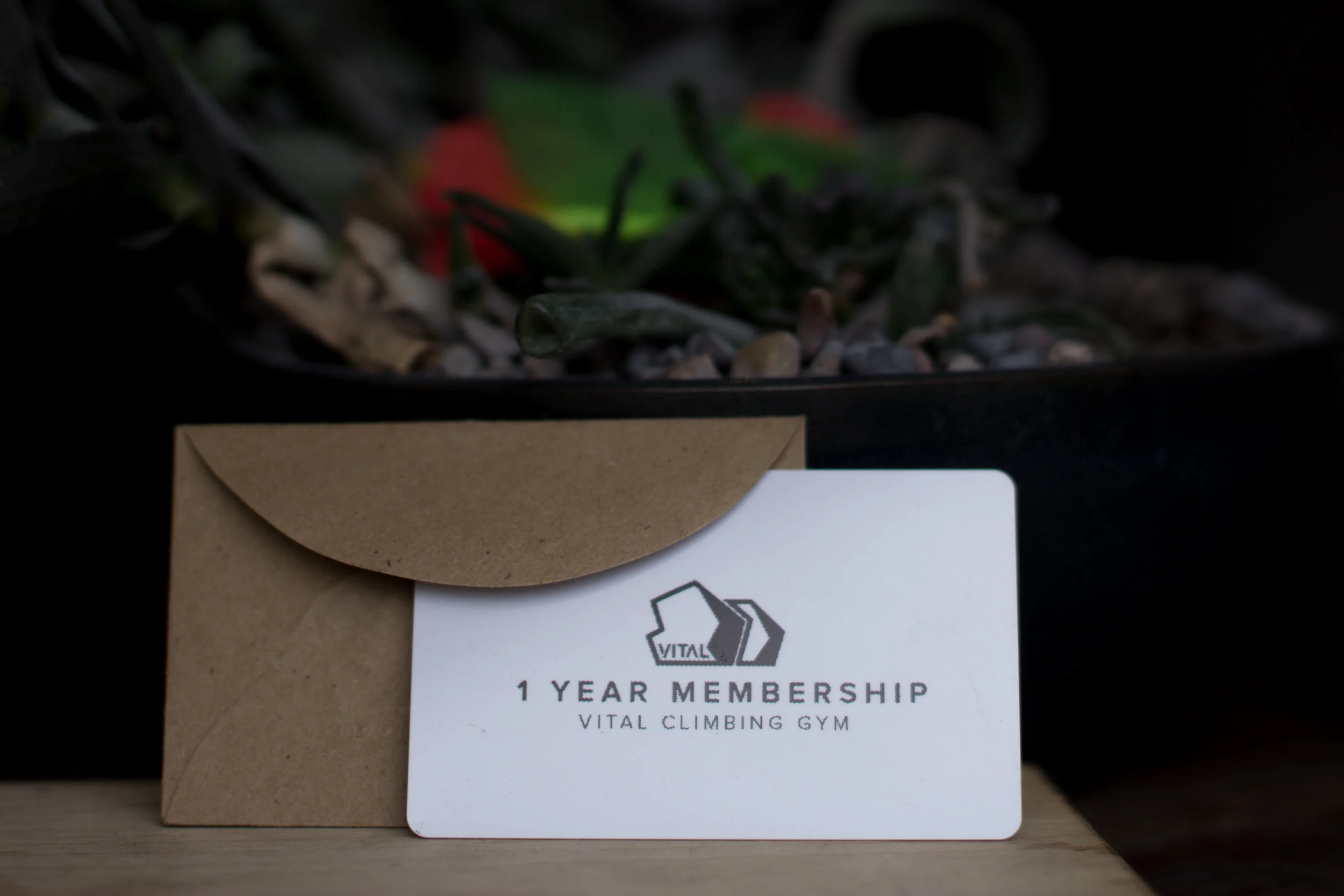 GiftCardPics-8.jpg