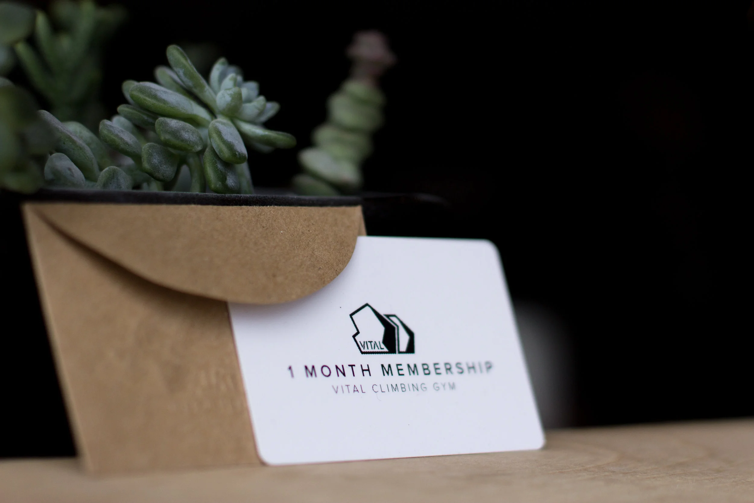 GiftCardPics-5.jpg