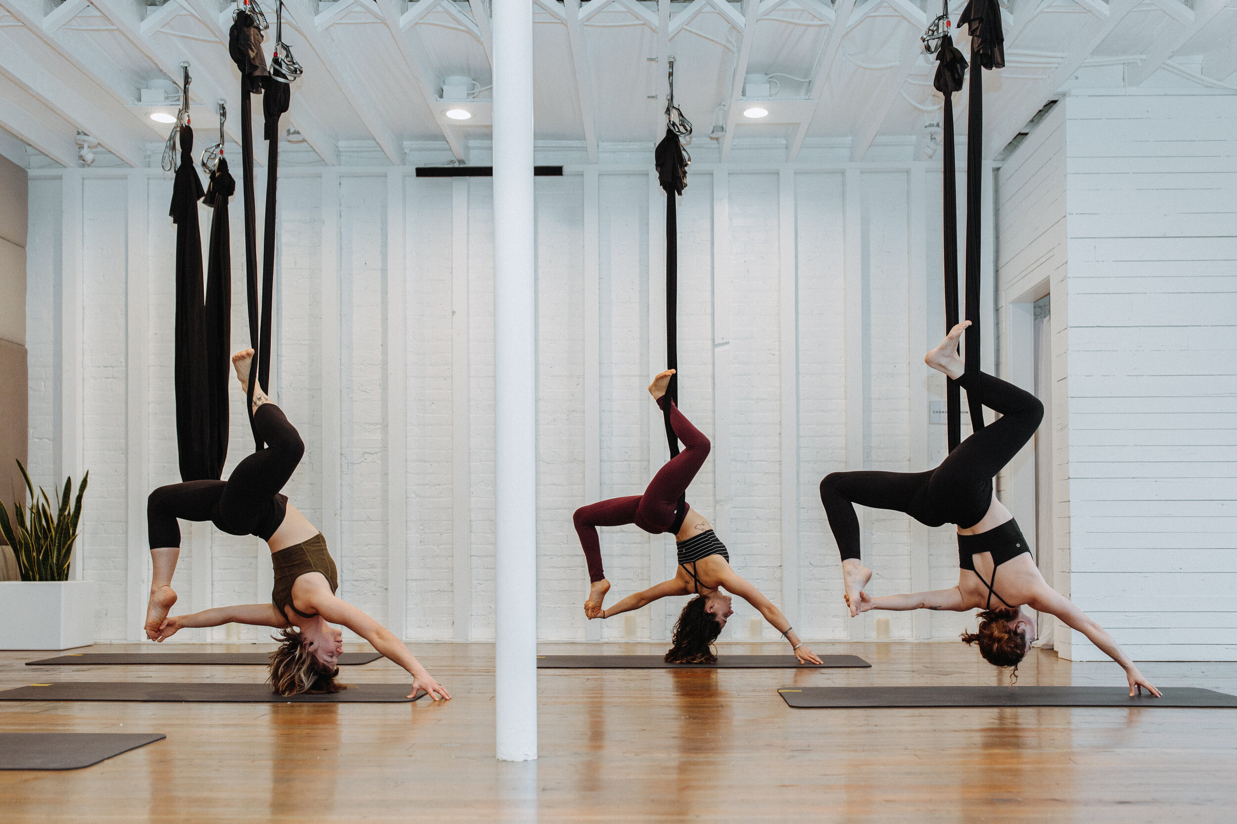 The Studio Bellingham — VITAL Climbing Gym