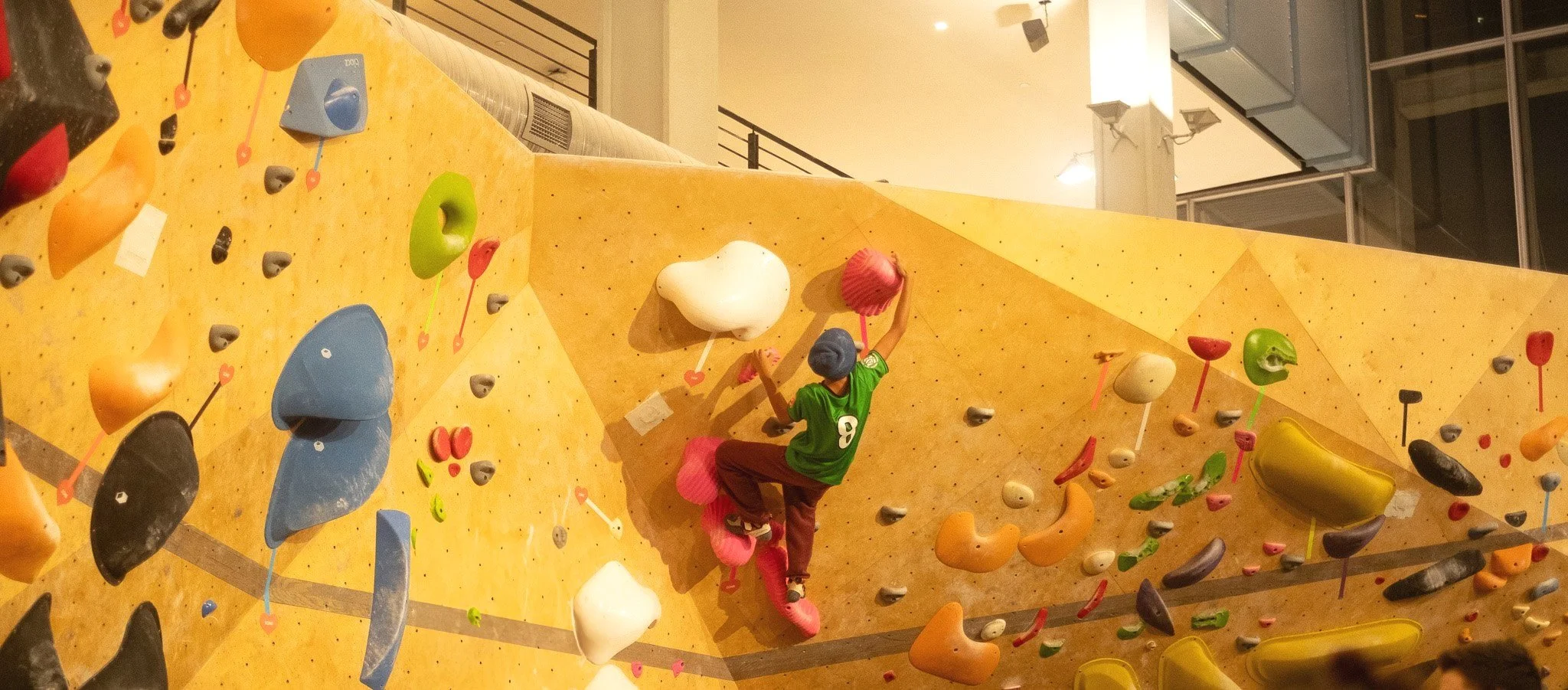 Youth West Harlem & Upper East Side — VITAL Climbing Gym