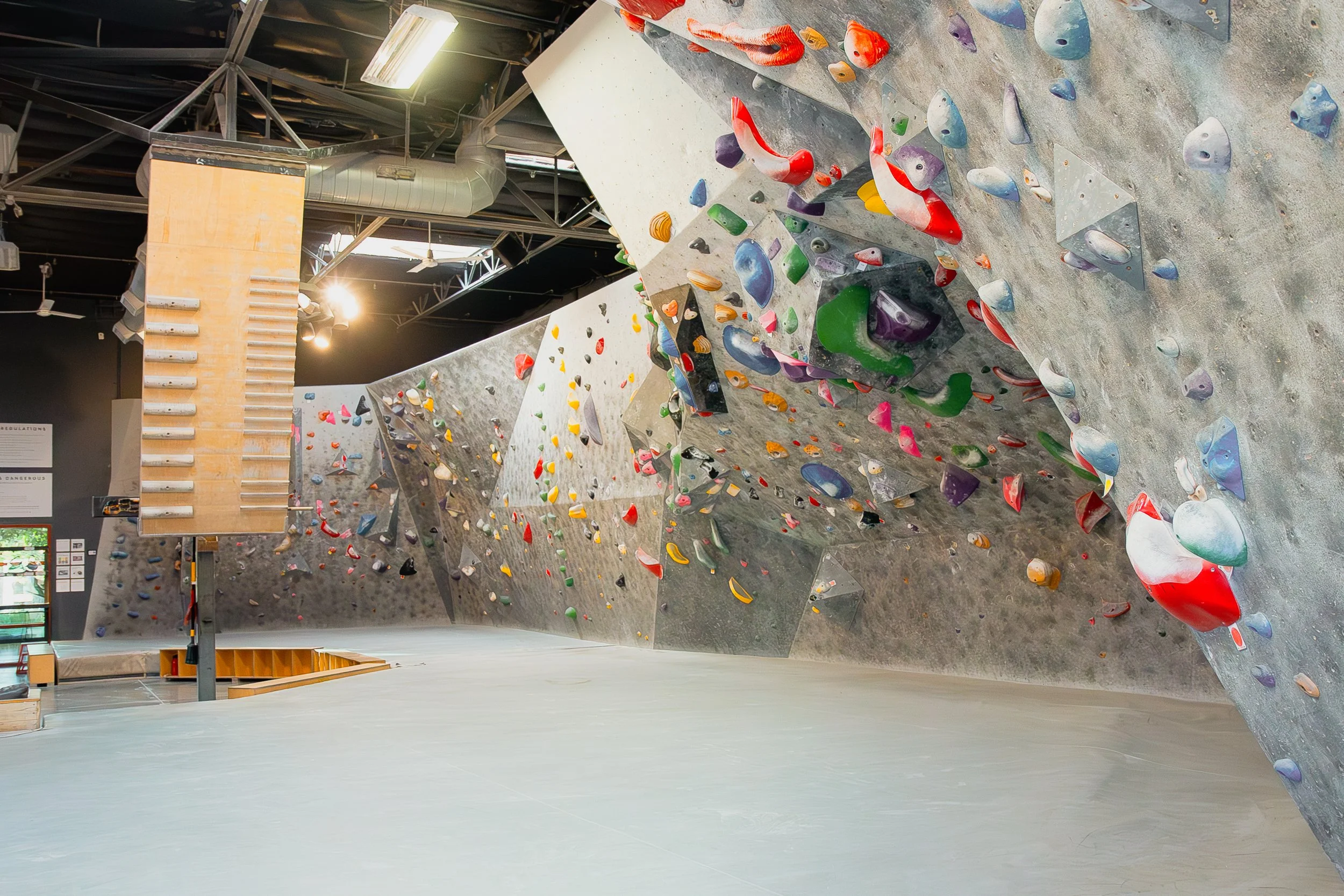 homepage draft_5.jpg