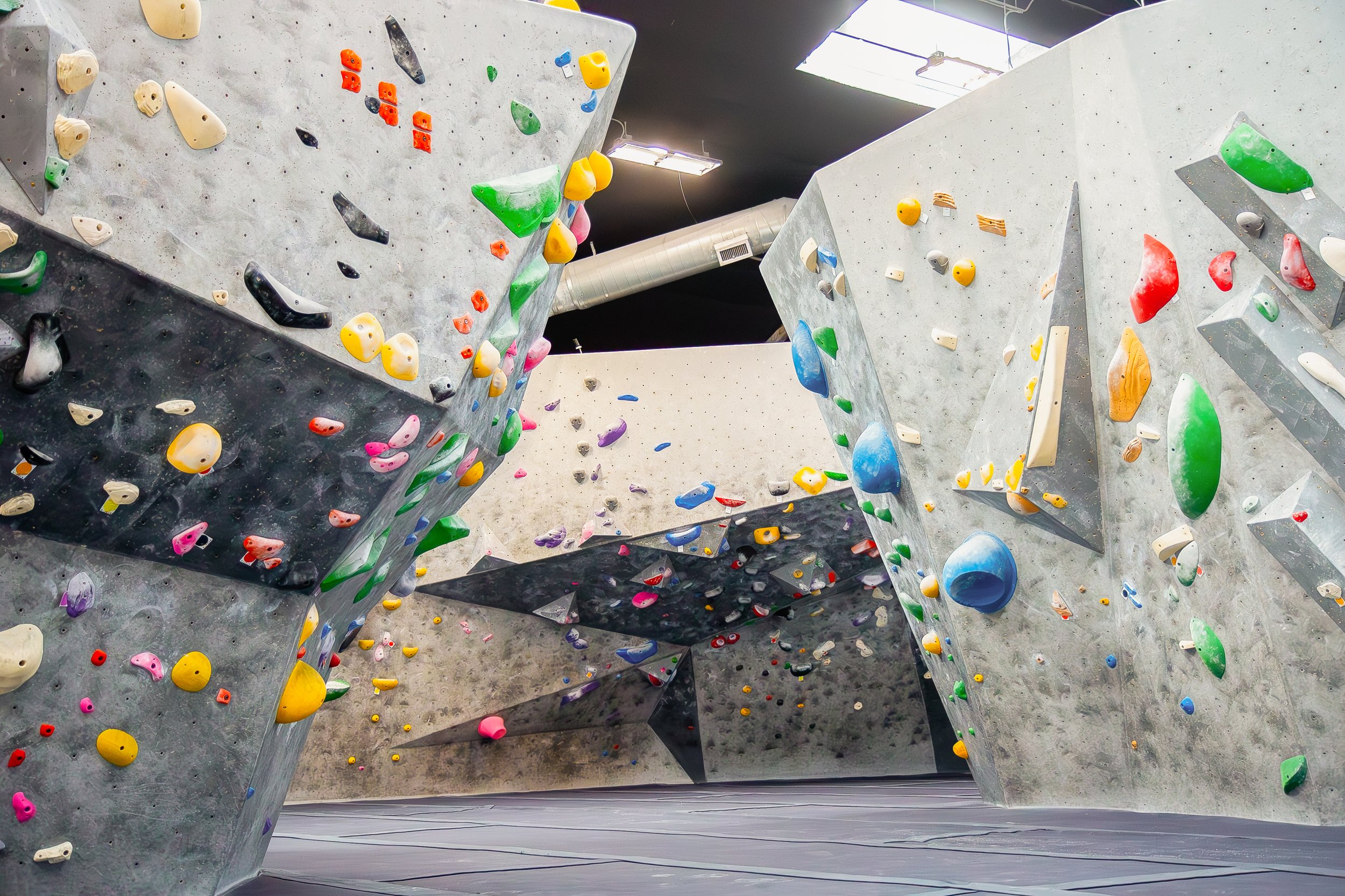 homepage draft_6.jpg