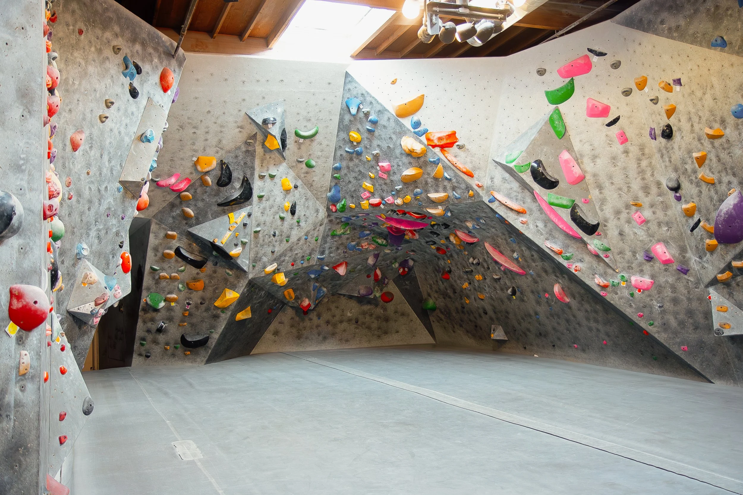 homepage draft_7.jpg