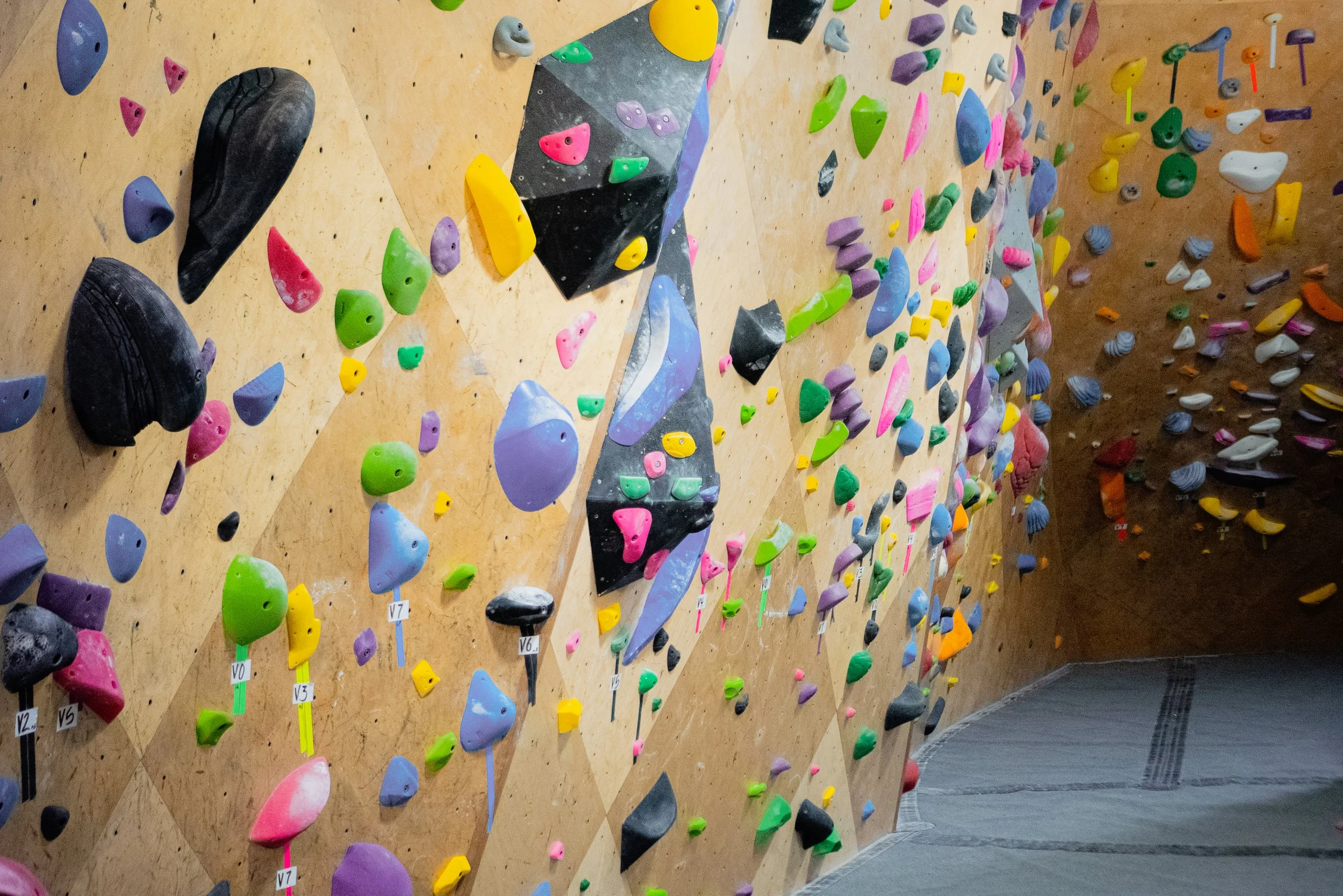 homepage draft_8.jpg