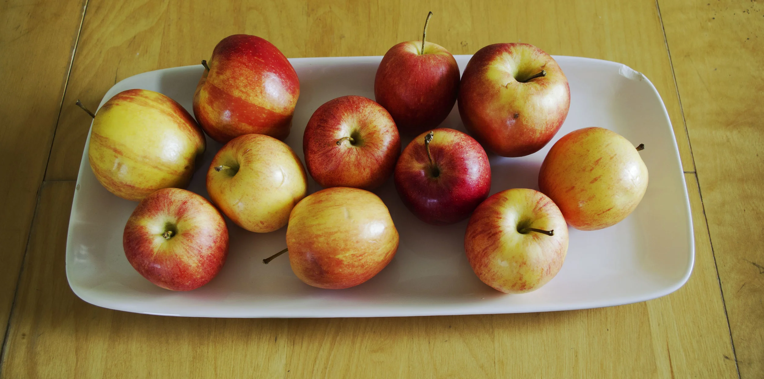 GROUP OF APPLES.gif