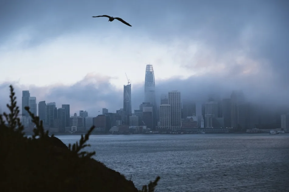 San Francisco from Treasure Island.