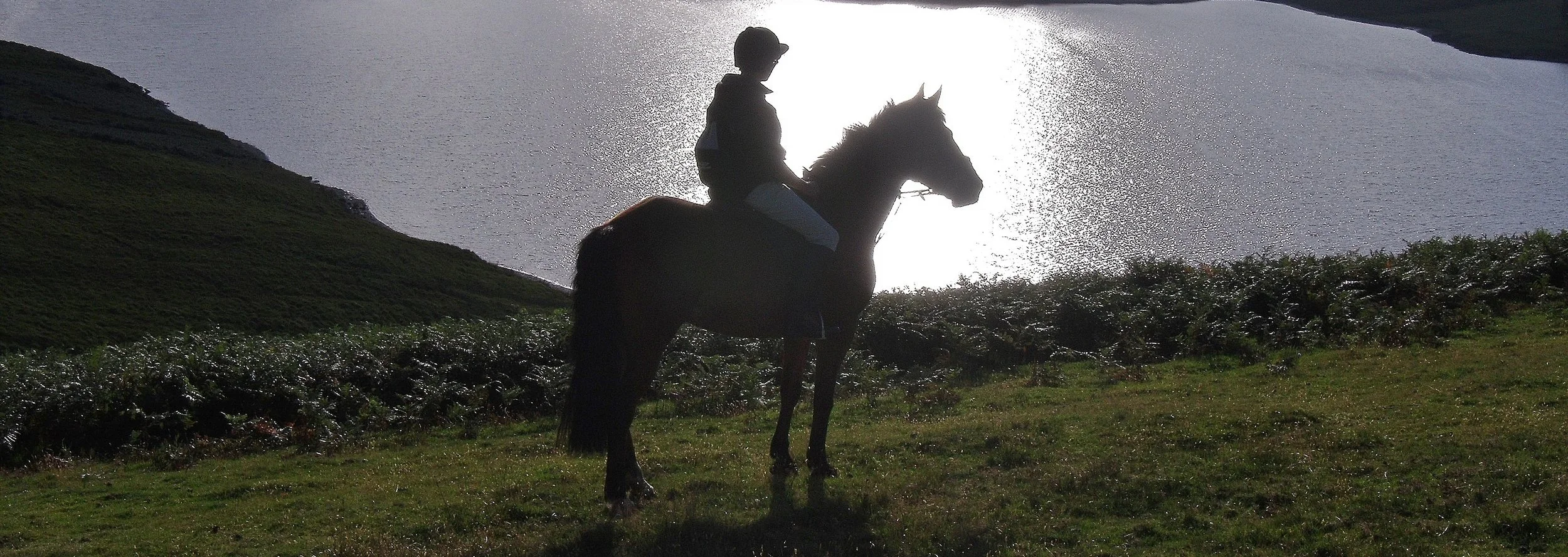 Bring your horse back to balance 