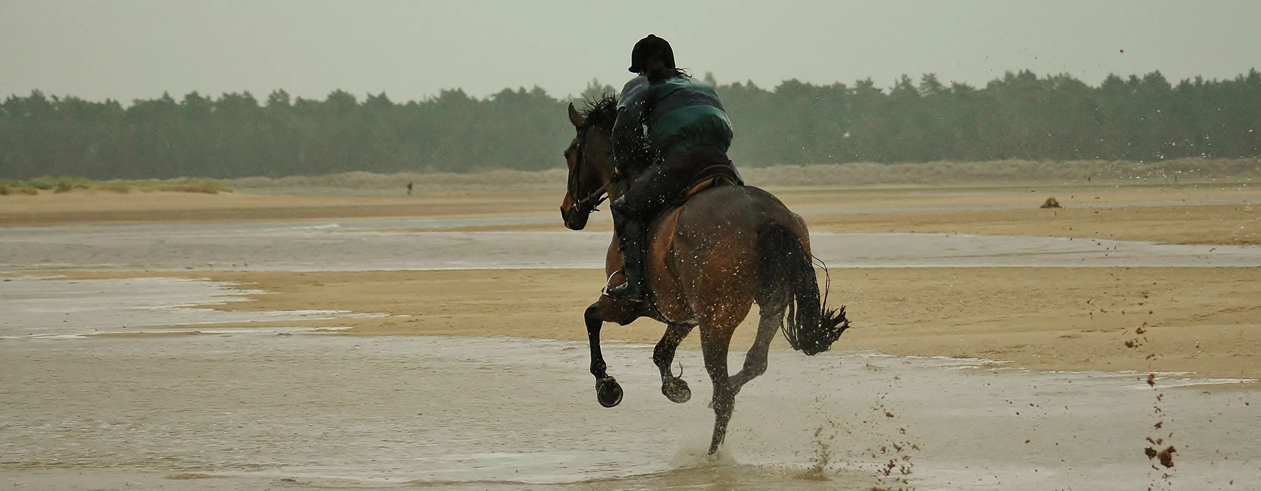  Free your horse from aches and pains 