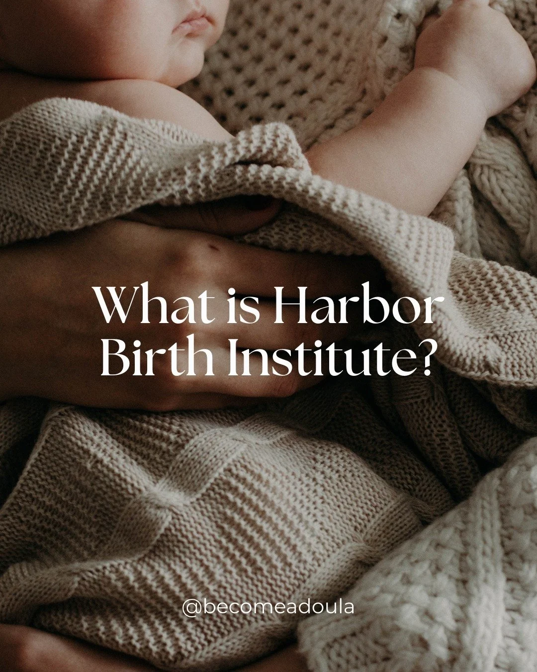 Since our start as a small, passionate training community, Harbor Birth Institute has been dedicated to equipping doulas with the tools they need to thrive.

Through evidence-based education, intuitive hands-on skills, mentorship, and a supportive co