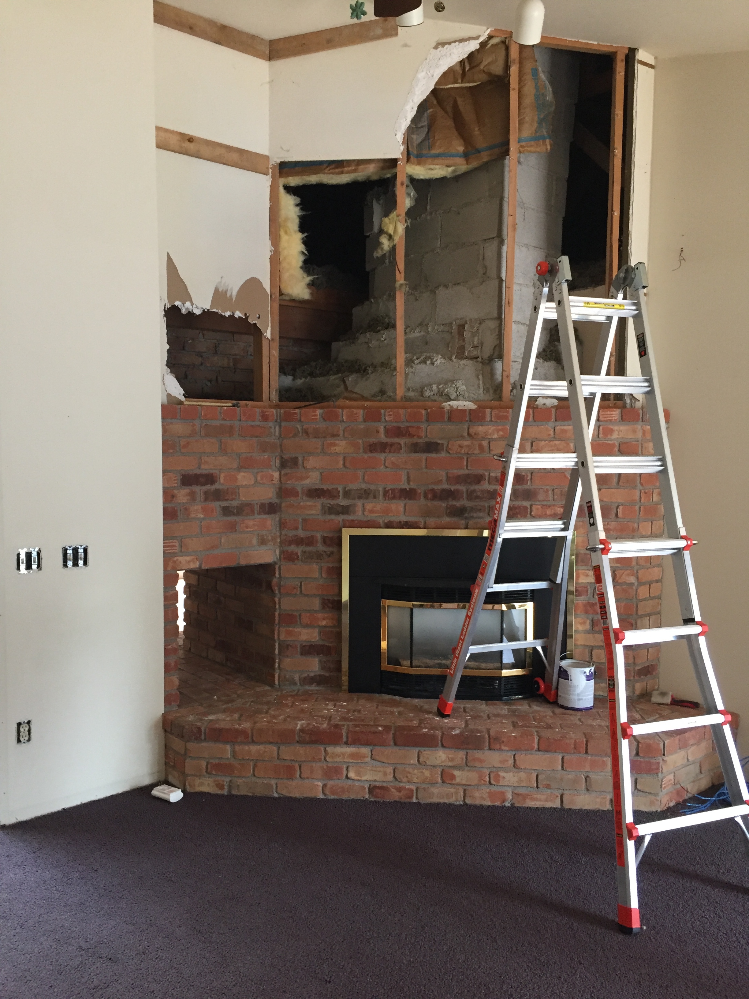 We were thinking maybe e could just take out one of the two fireplaces. 