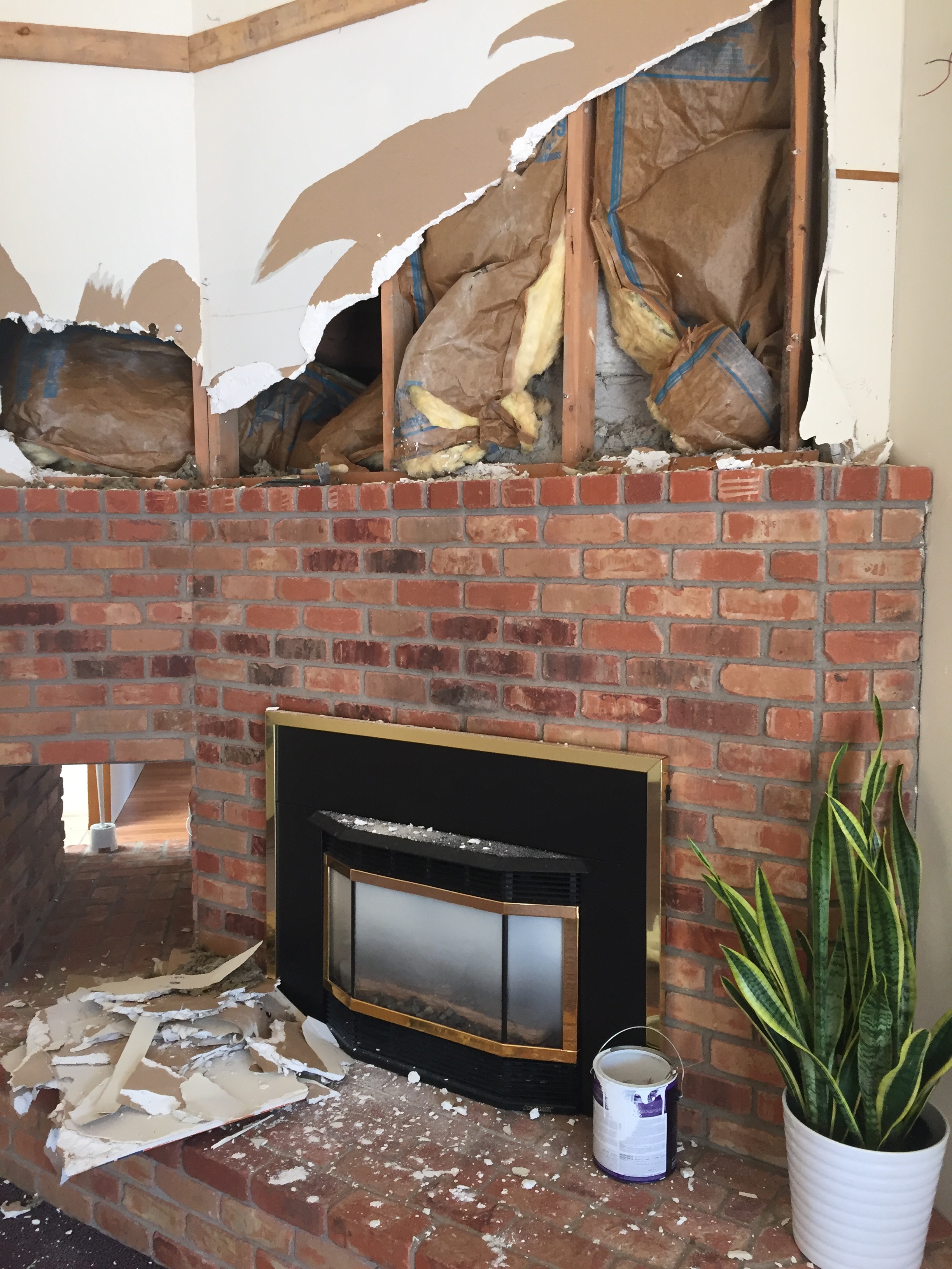 I don't remember why we decided to see what was behind the drywall but I'm sure glad we did. 