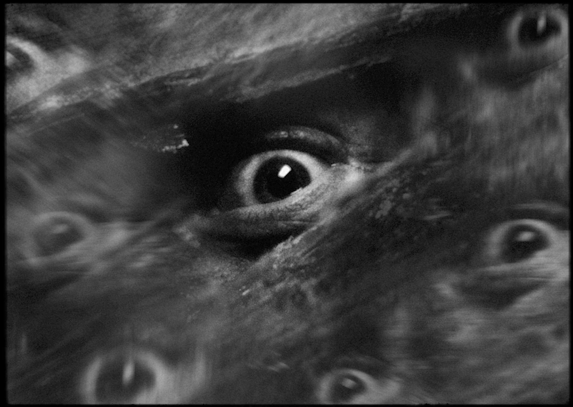 Teaser trailer Birdie v2 til IG 2