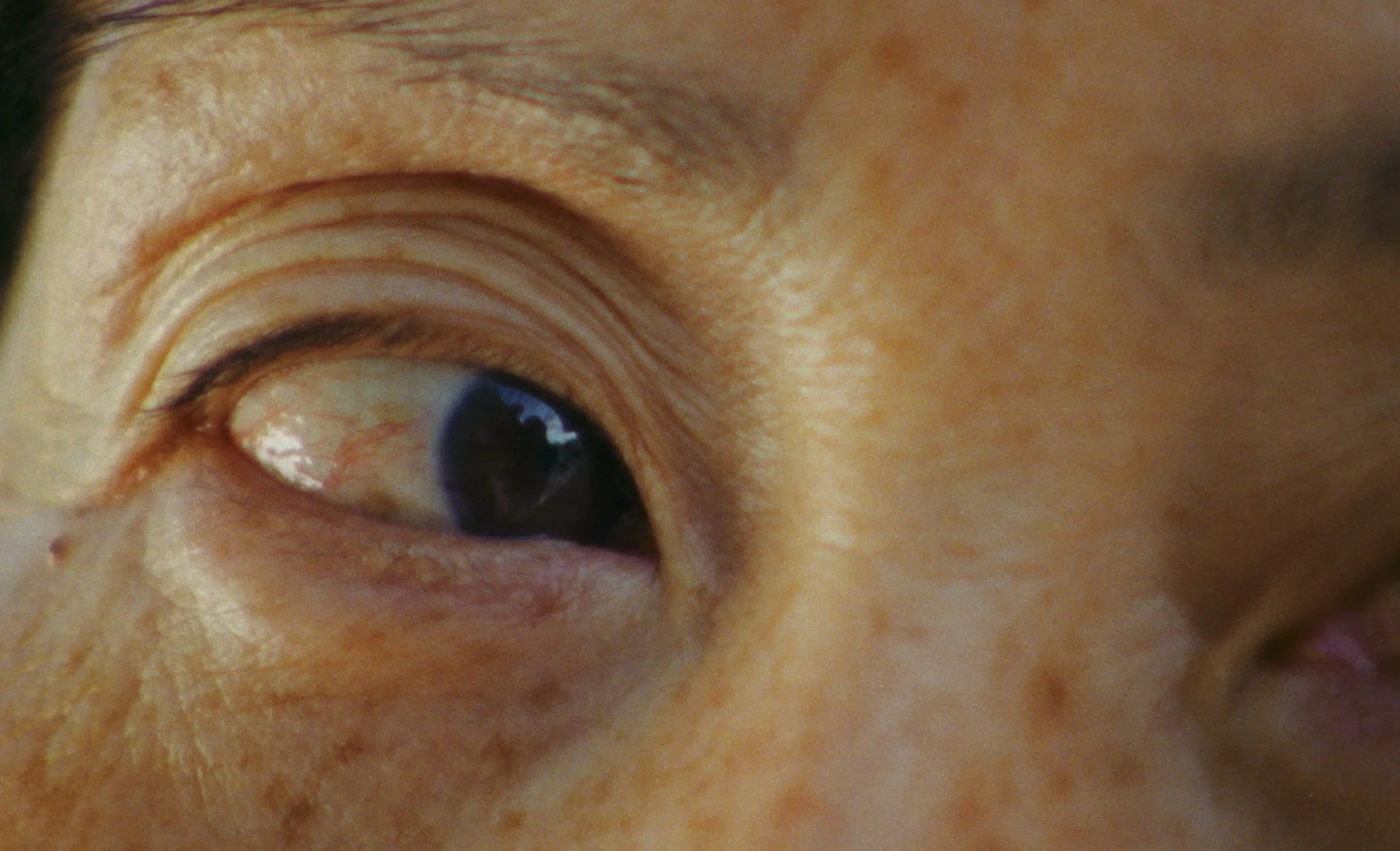 Skærmbillede 2025-12-17 kl. 13.45.36.jpg