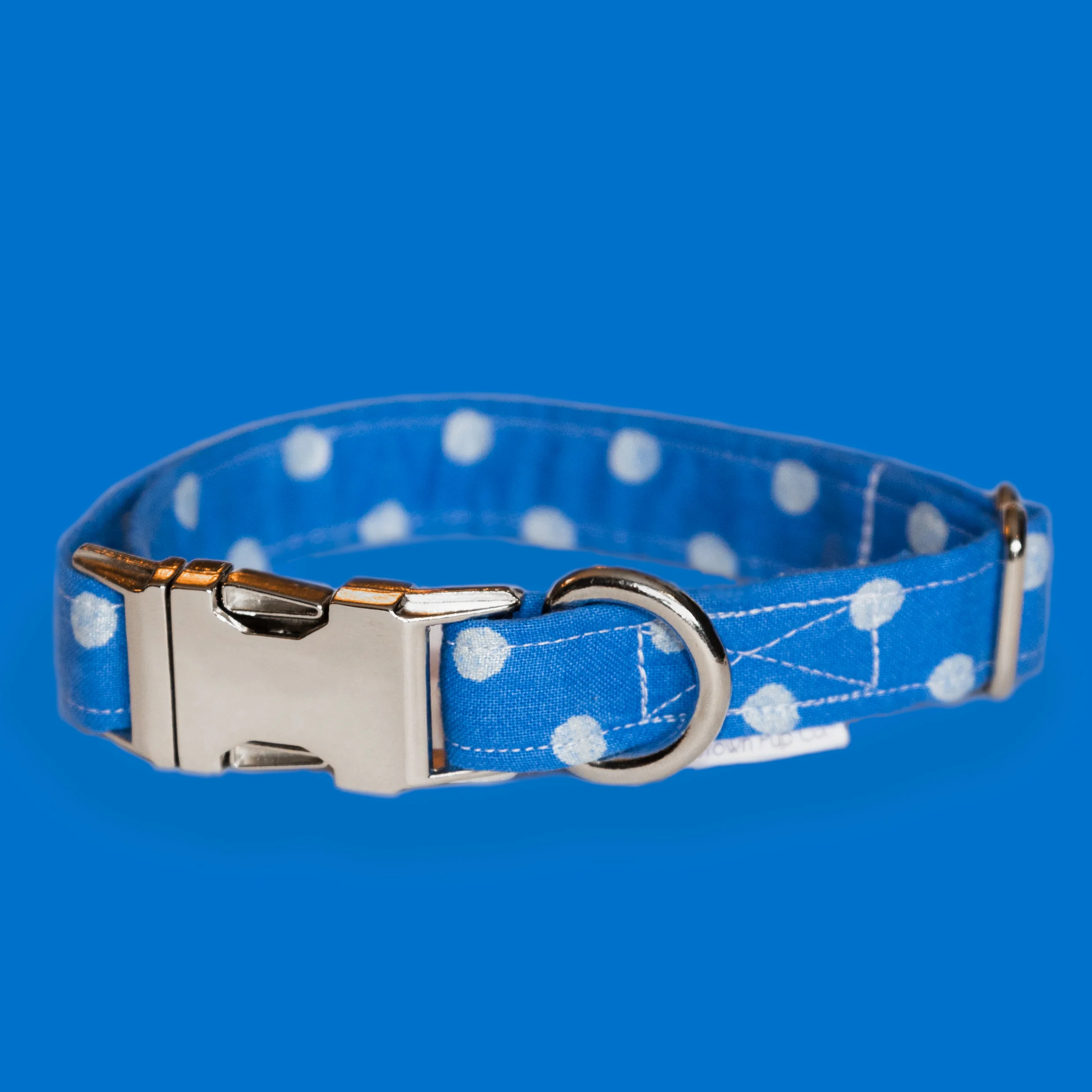 dots collar.jpg