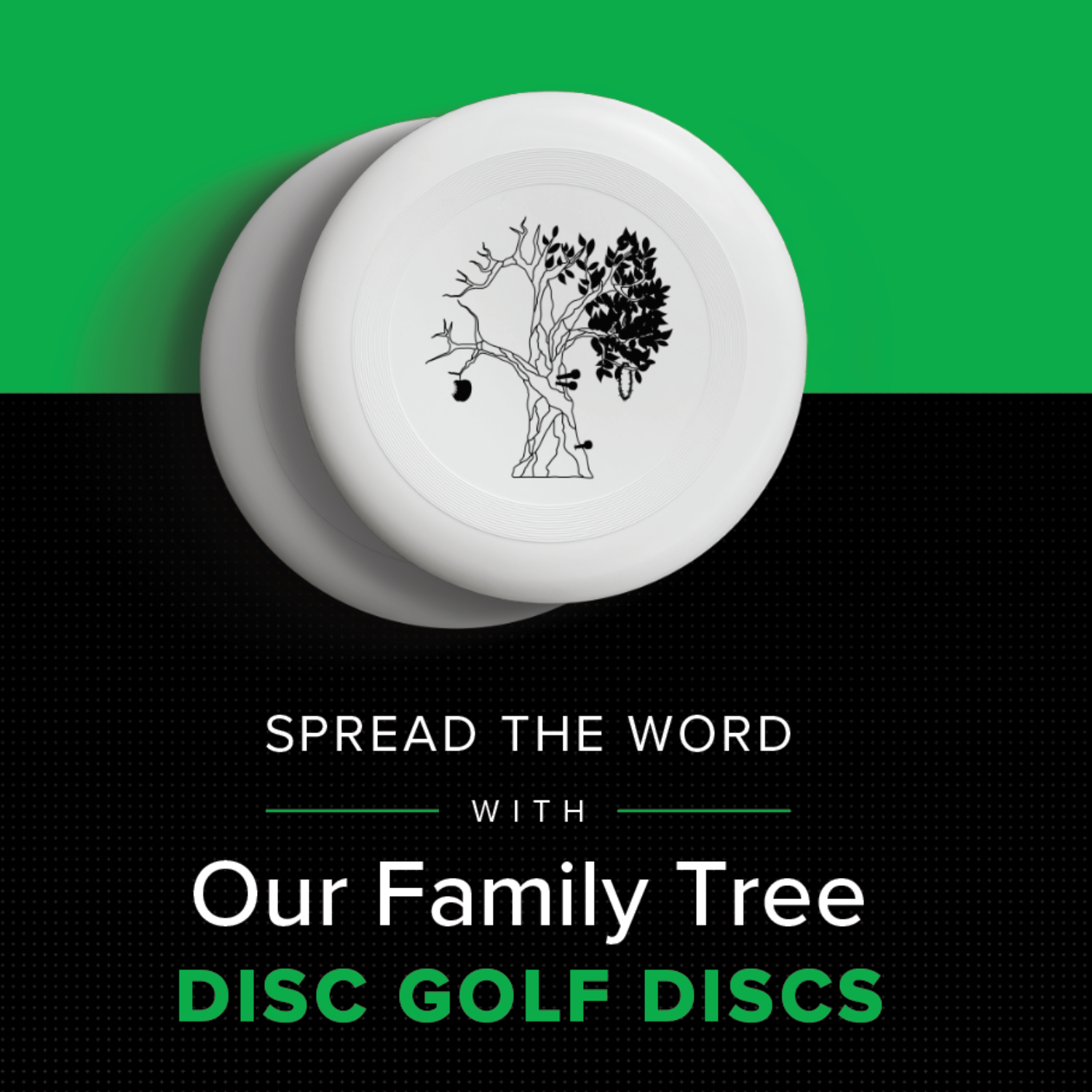 Disc+golf+discs-2.webp