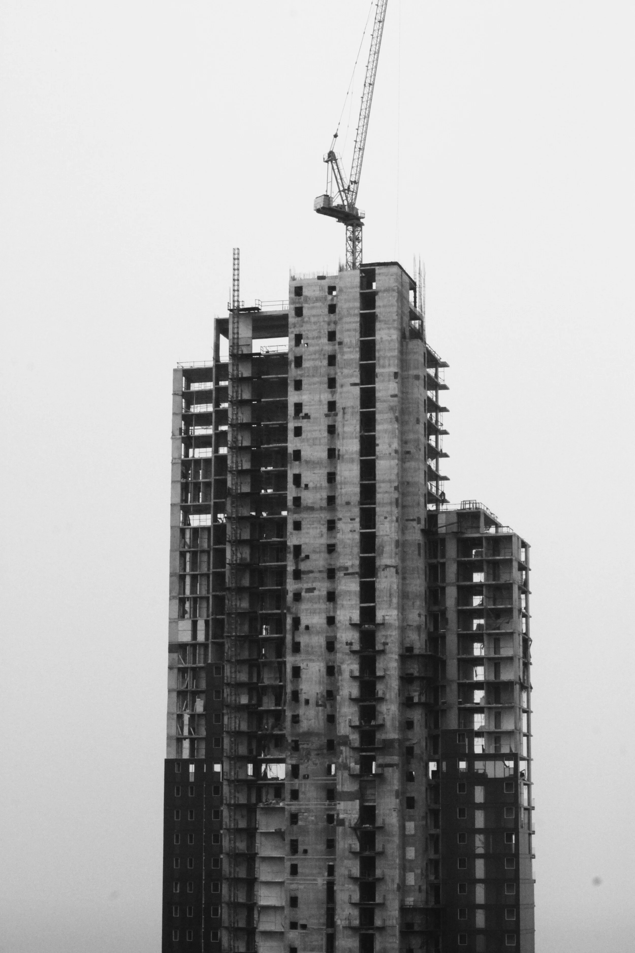 _MG_5890.JPG