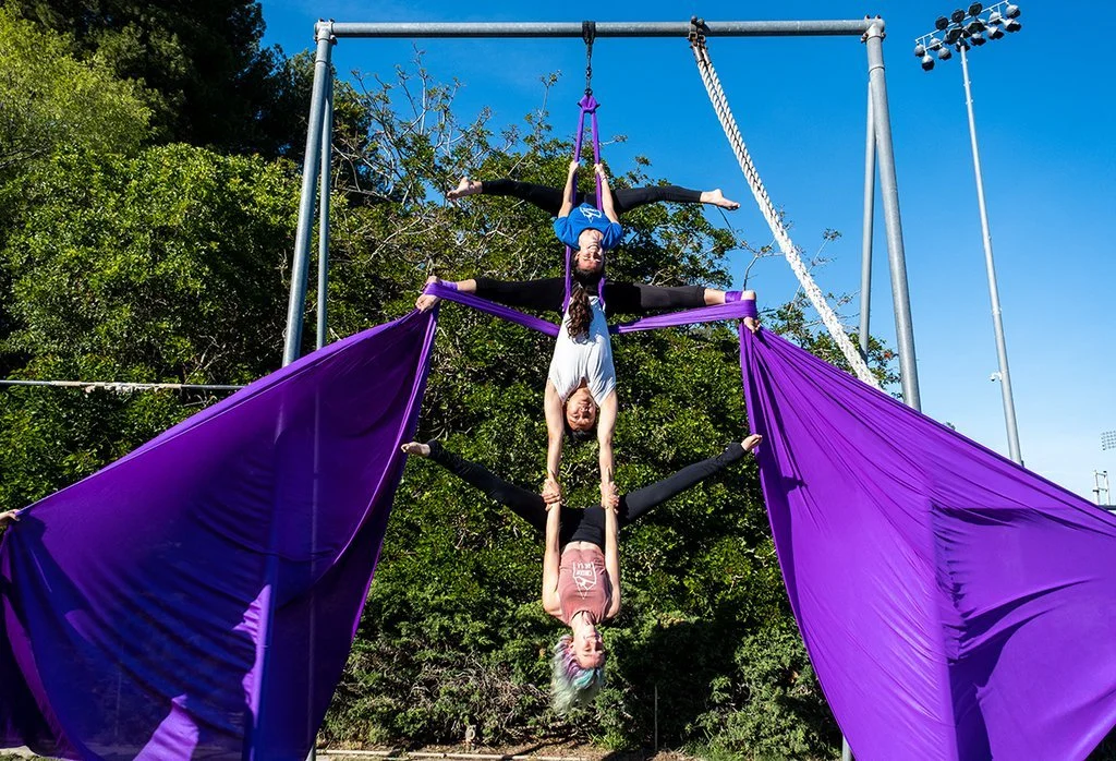 web.prime.cirque.AM2-79c13eb7ce1e485fca28a2cbb4b2c8db.jpg