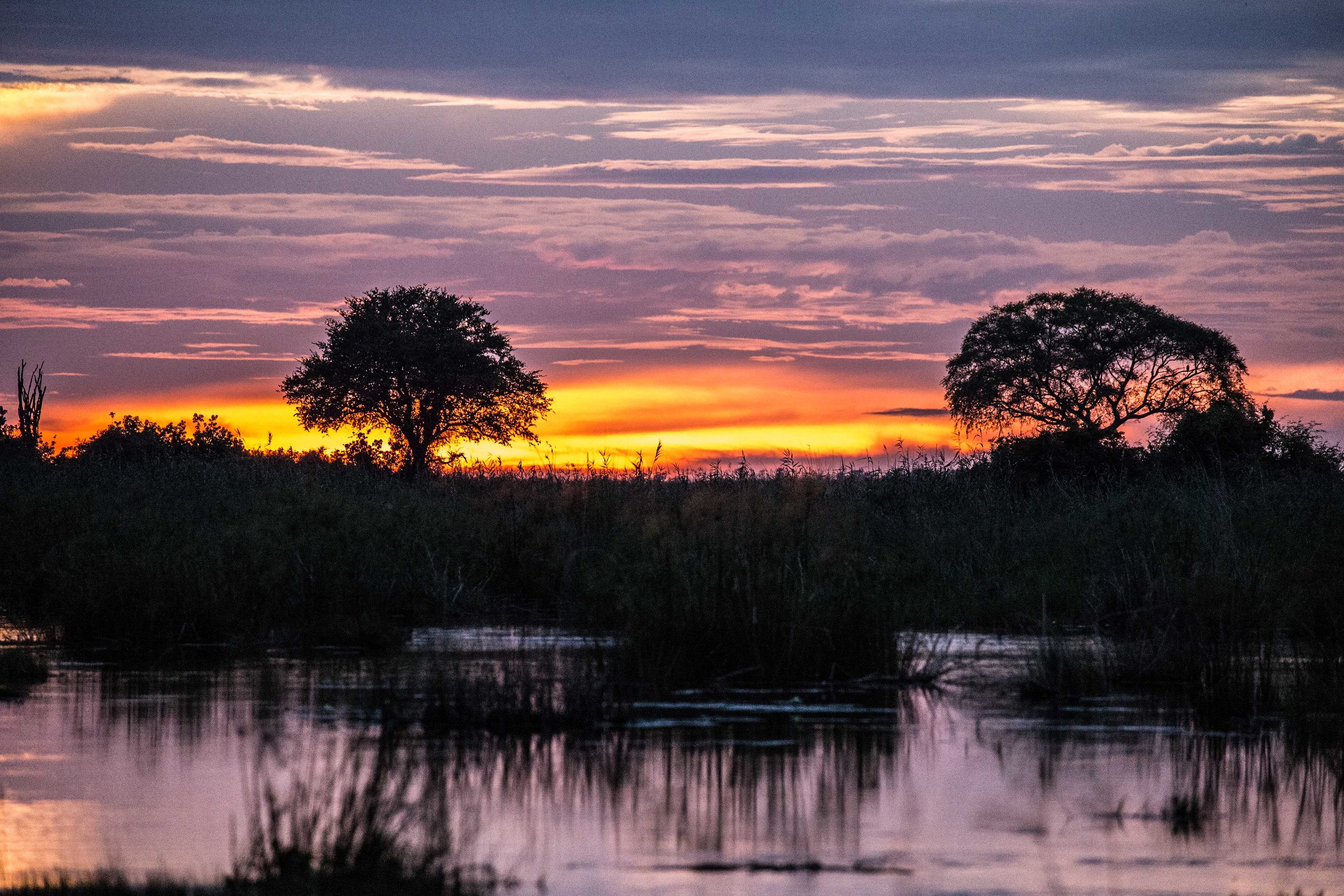 Okavango Delta, Botswana