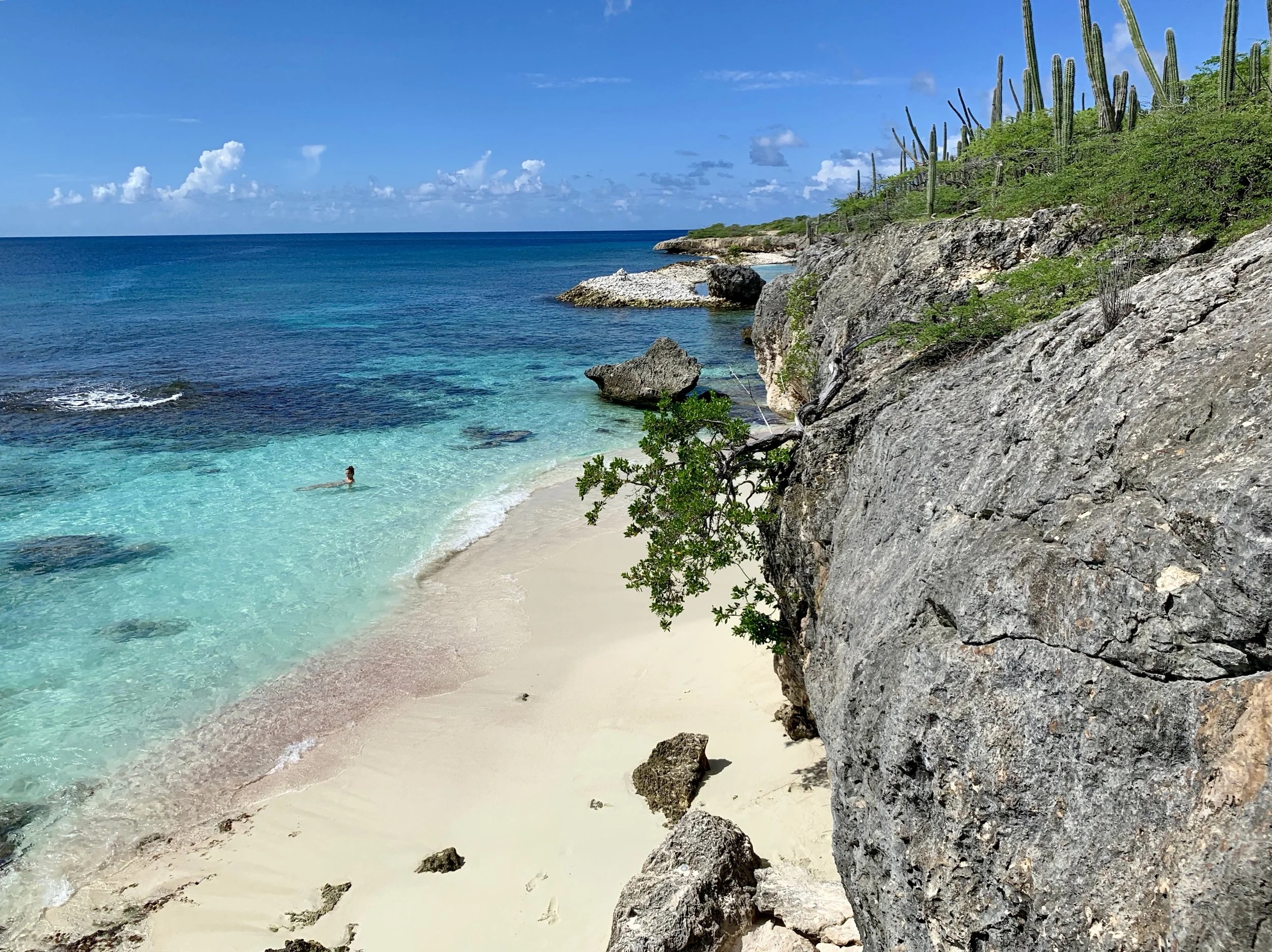 Marine and other pleasures in Bonaire