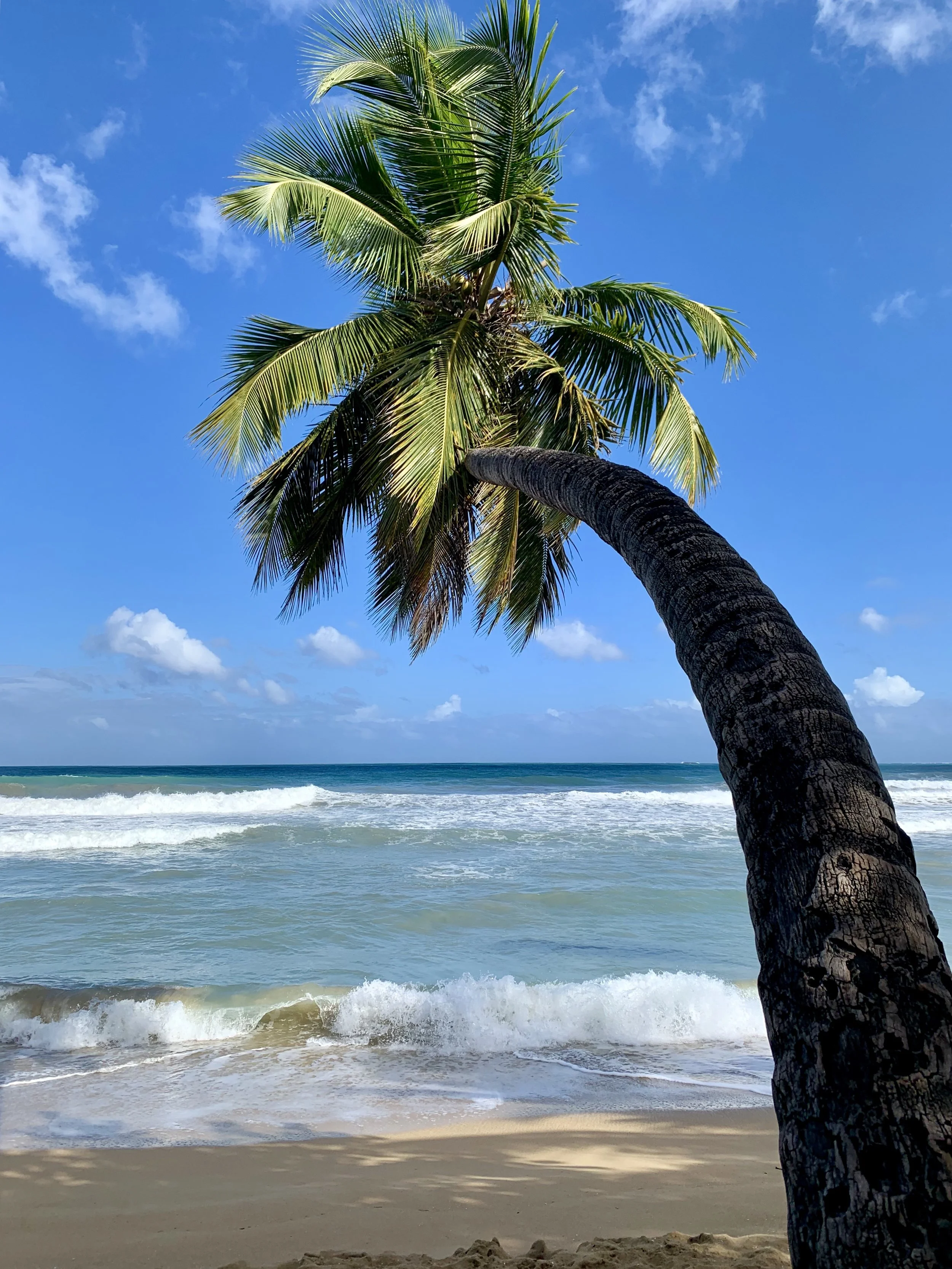¡República Dominicana!