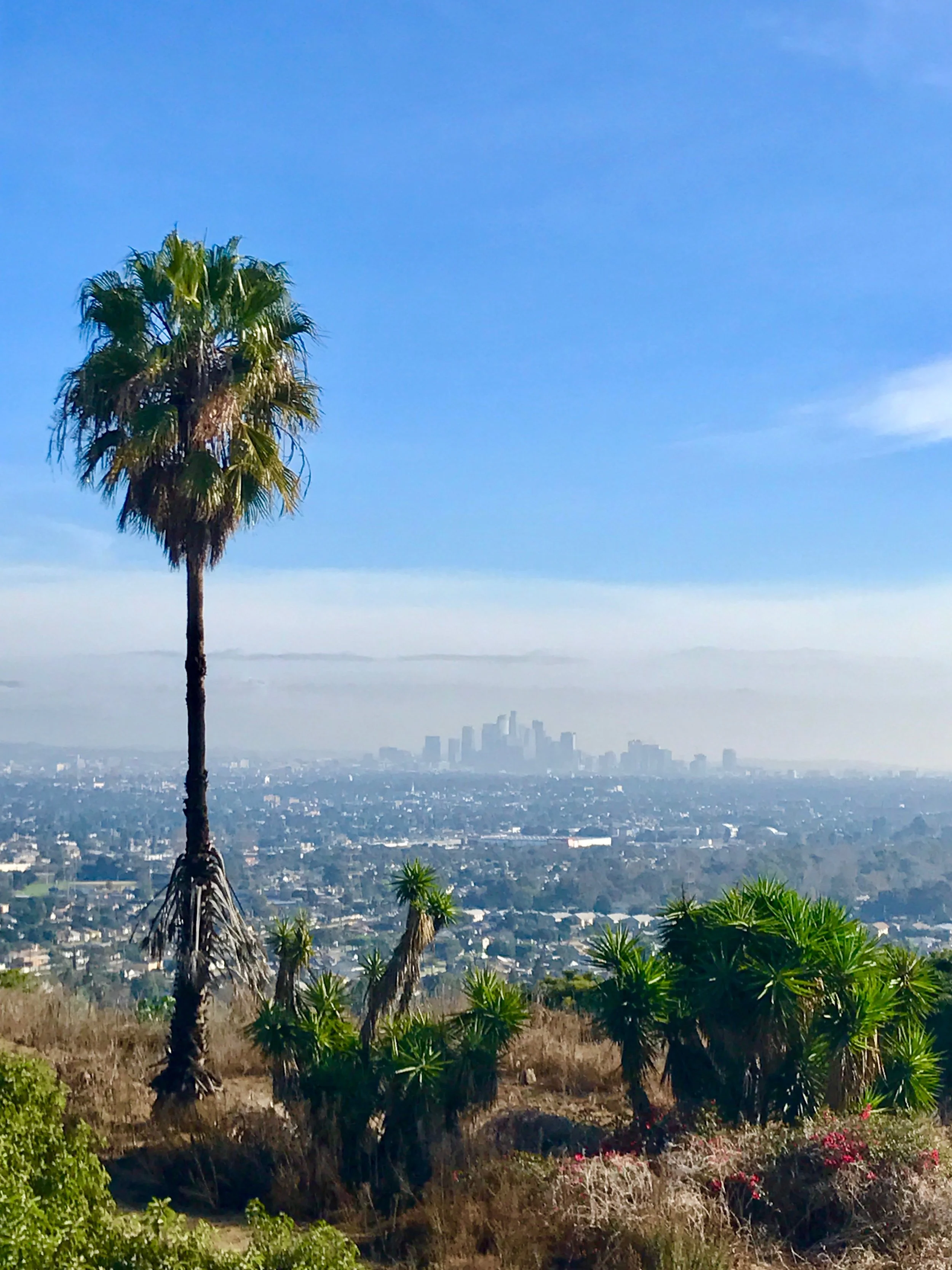 City eats guide: Los Angeles