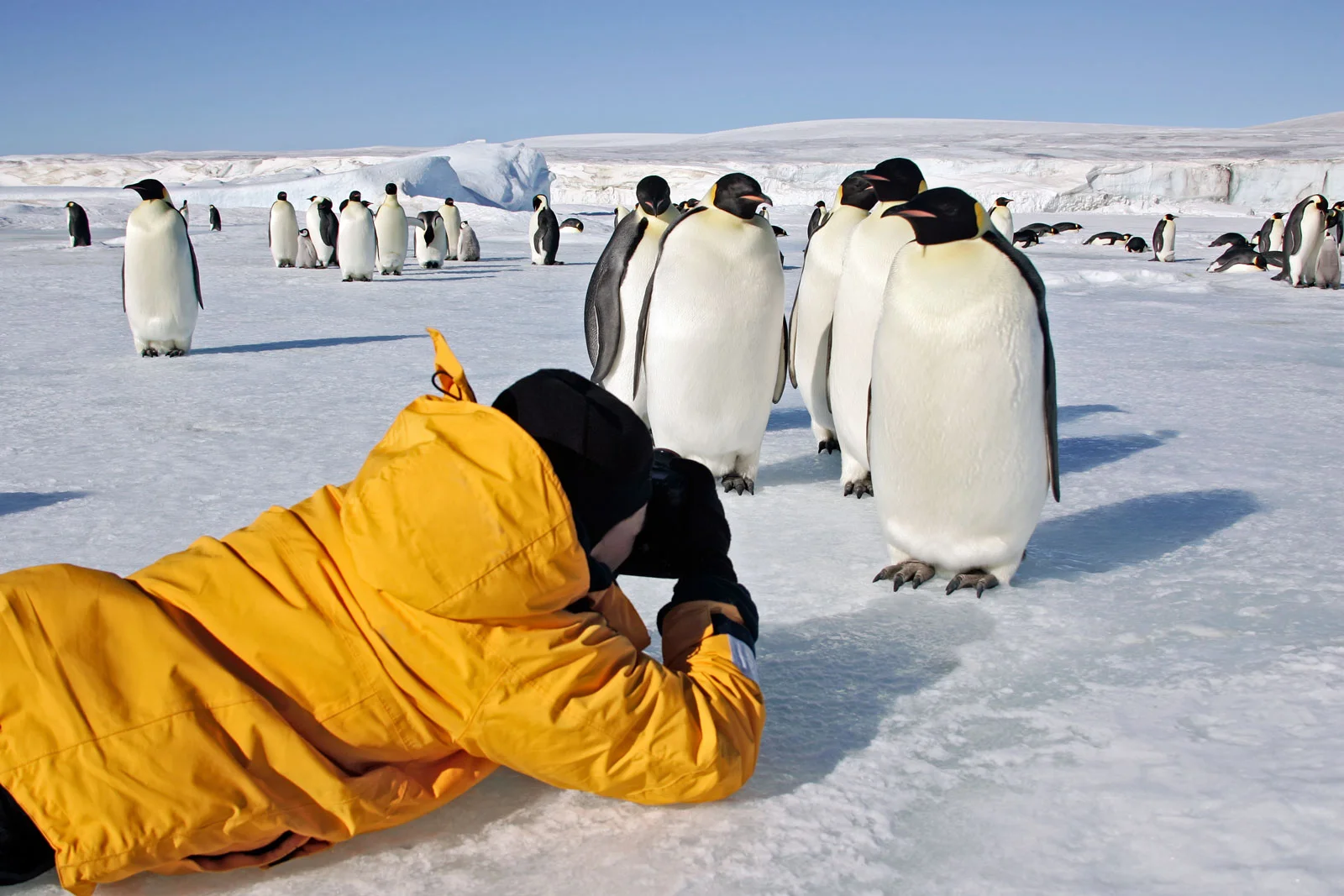 iStock-95700544(2).jpg
