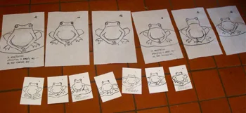 A few of my failed frogs