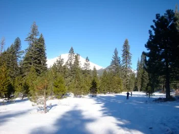 A Nordic ski trail at Mt. Shasta, California.