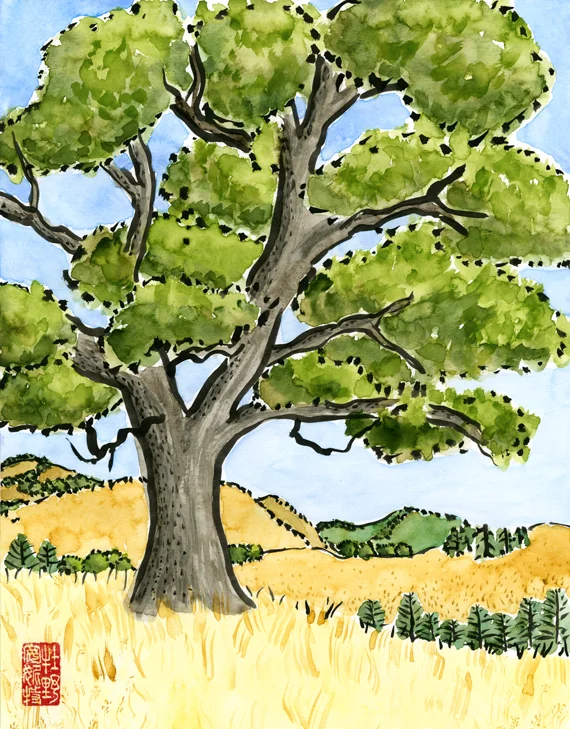 oak tree art print