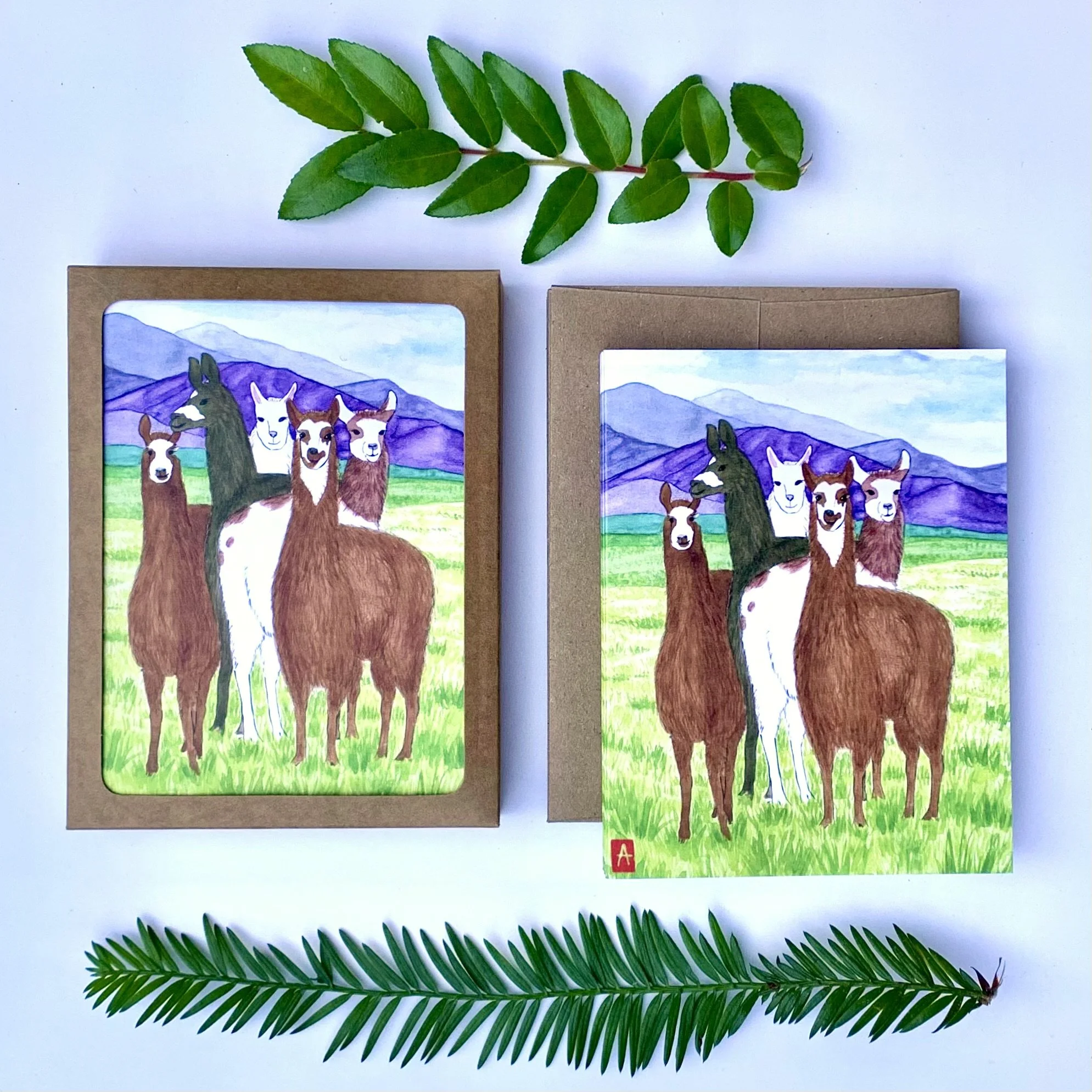 funny llama notecard set - herd of llamas