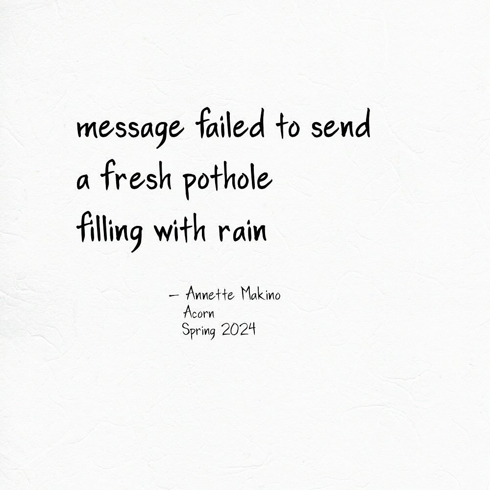 Thanks to editor @susan_antolin for including this haiku in #acornhaikujournal! 
⠀⠀⠀⠀⠀⠀⠀⠀⠀
#annettemakino #haiku #senryu #micropoetry #poetry #japanesepoetry #messagefailed #rainpoem #potholes