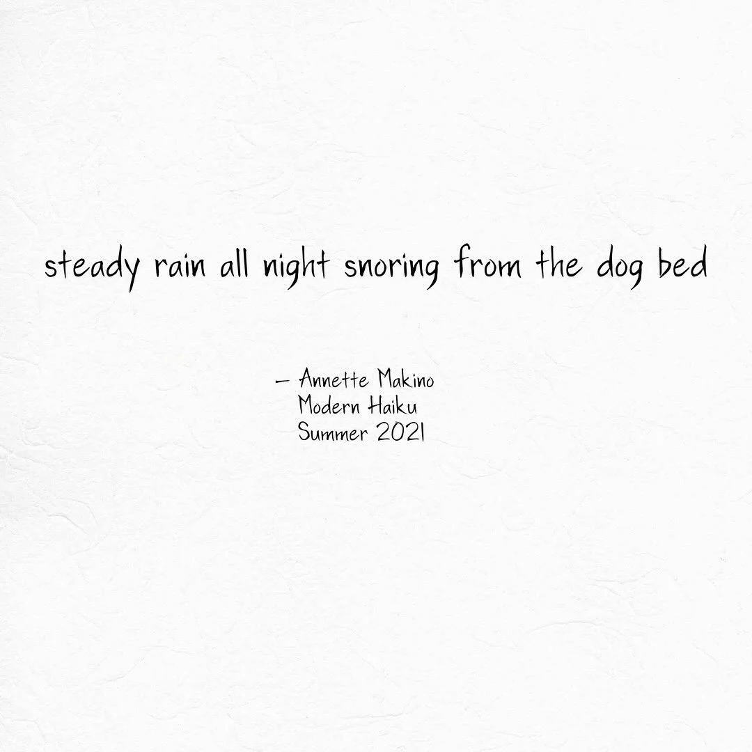 This rain haiku gives me a great excuse to add a favorite shot from 2011 of a boy and dog dear to my heart . . .
⠀⠀⠀⠀⠀⠀⠀⠀⠀
#makinostudios #annettemakino #haiku #micropoetry #poetry #japanesepoetry #dogs #rain #dogpoem #monoku