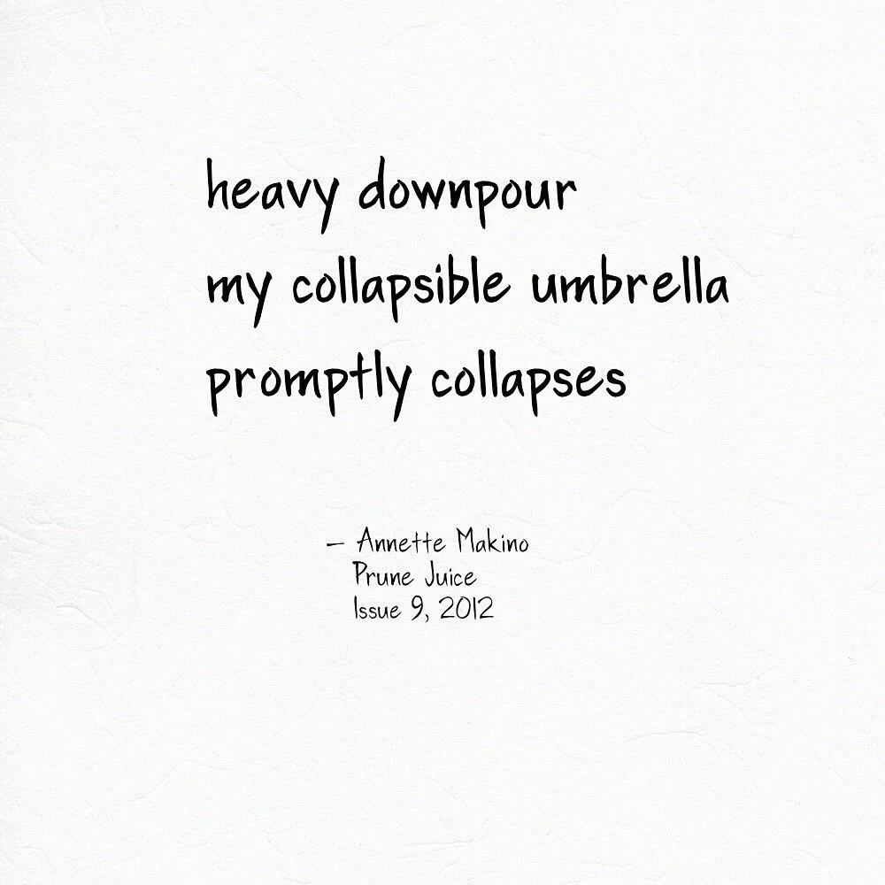 Our current deluge here in Northern California reminded me of this senryu, published in @prunejuicejournal.

#annettemakino #haiku #senryu #micropoetry #poetry #rain #norcal #downpour #umbrella #winter