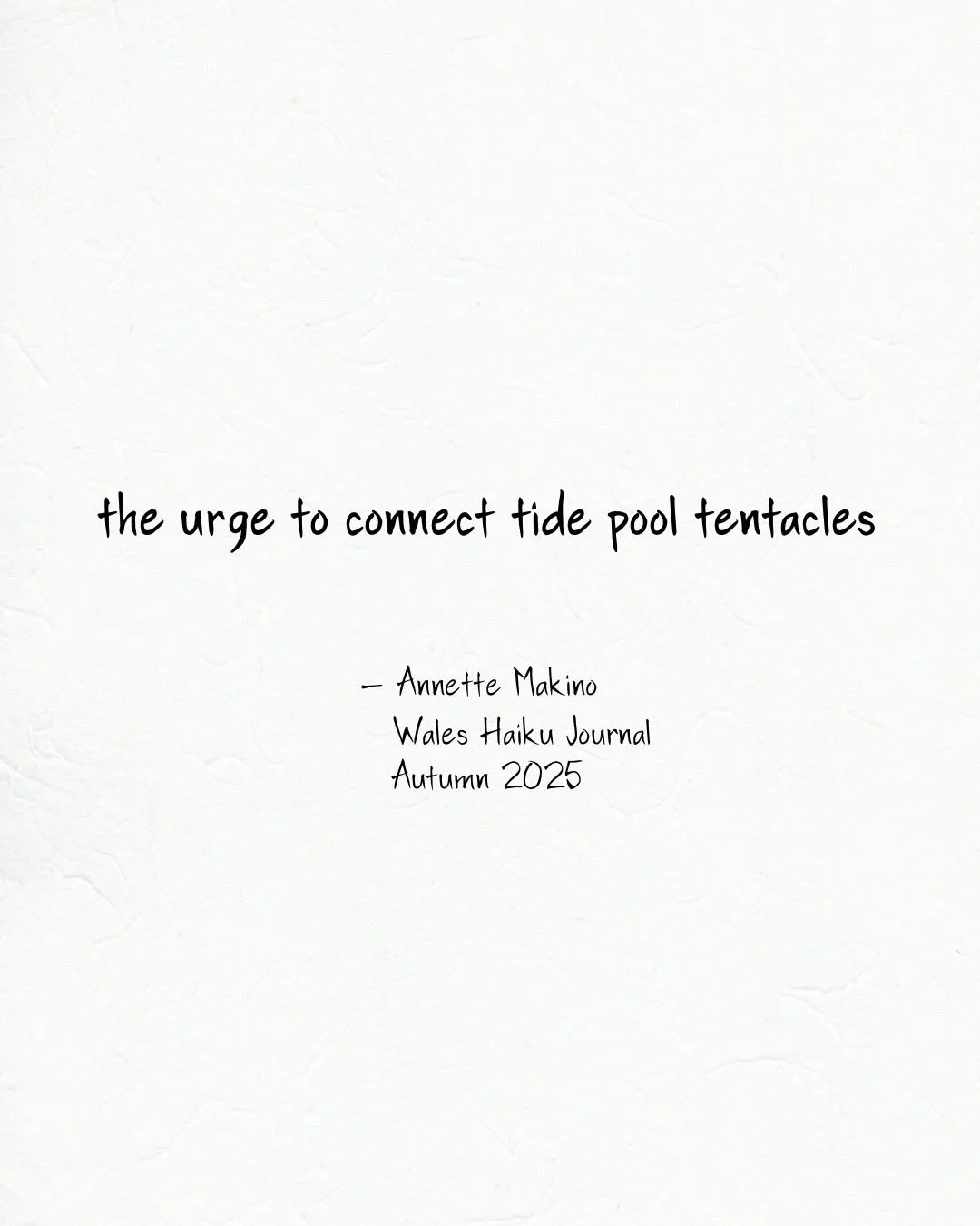 As I told my nephew, &ldquo;anemones are not our enemies!&rdquo;
⠀⠀⠀⠀⠀⠀⠀⠀⠀
Glad to have this one-line haiku in @WalesHaiku, thanks to editors @jwjwoodhouse and @love.rpoetic.
⠀⠀⠀⠀⠀⠀⠀⠀⠀
#monoku #haiku #senryu #poetry #tidepooling