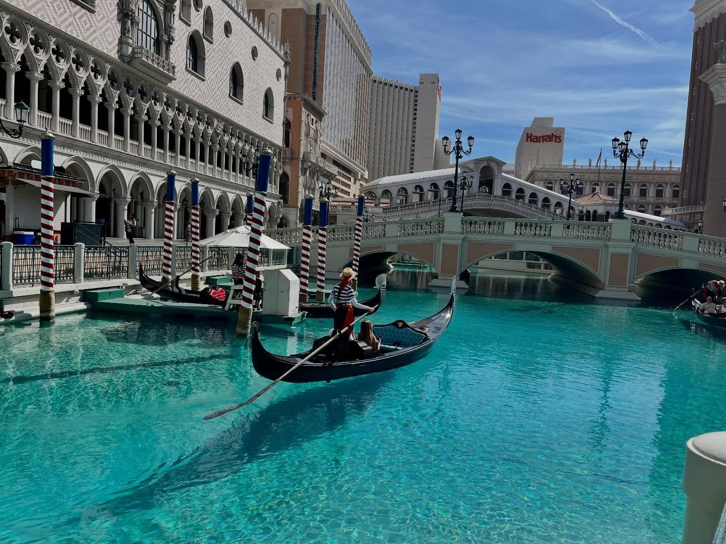 One last batch of pics from our week based in Las Vegas, possibly the most ridiculous city in the world! The new direct flights between Arcata and Vegas made it easy to visit the uncanny and beautiful national and state parks in the vast Mojave Deser