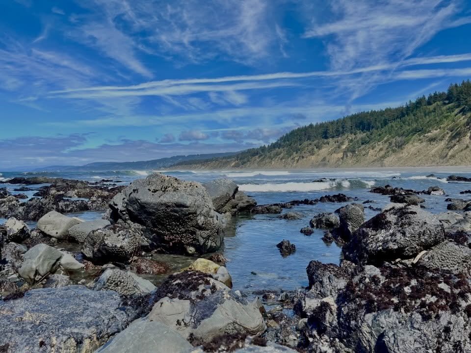 This month marks forty years since I moved to Humboldt County, California! This place has been very good to me. Met and married my love here, built our dream house in the country, raised two amazing humans, had a long career in international developm