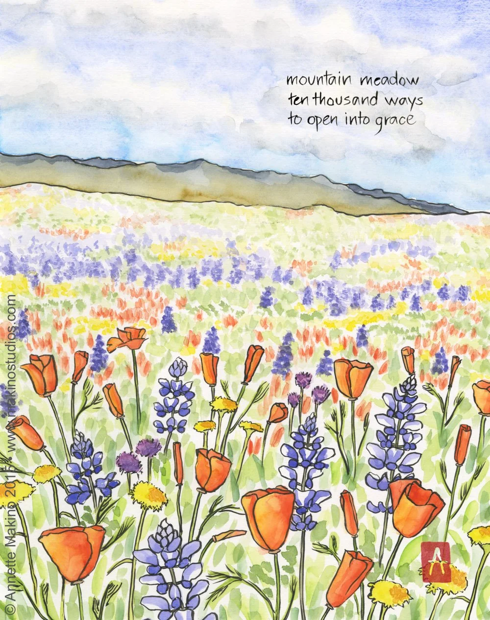 mountain meadow