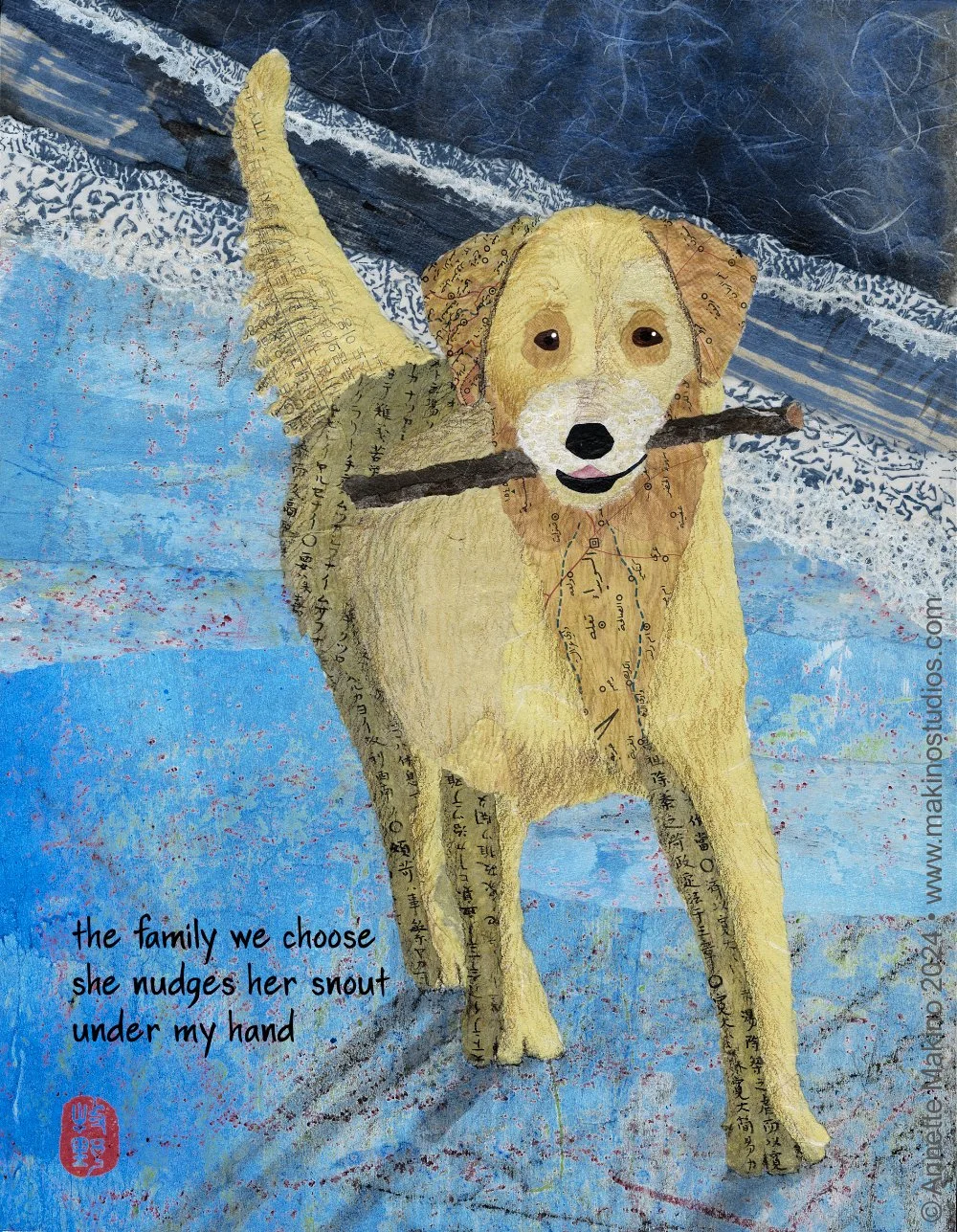 the family - beach dog-1000px.jpg