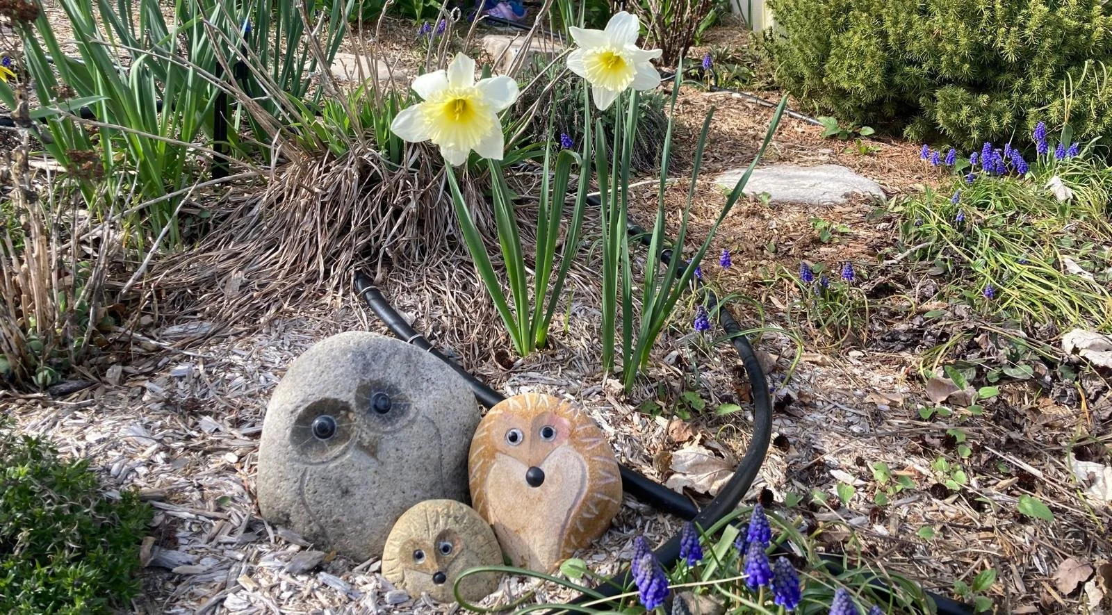 Six years and two children later: how to become a feminist dad