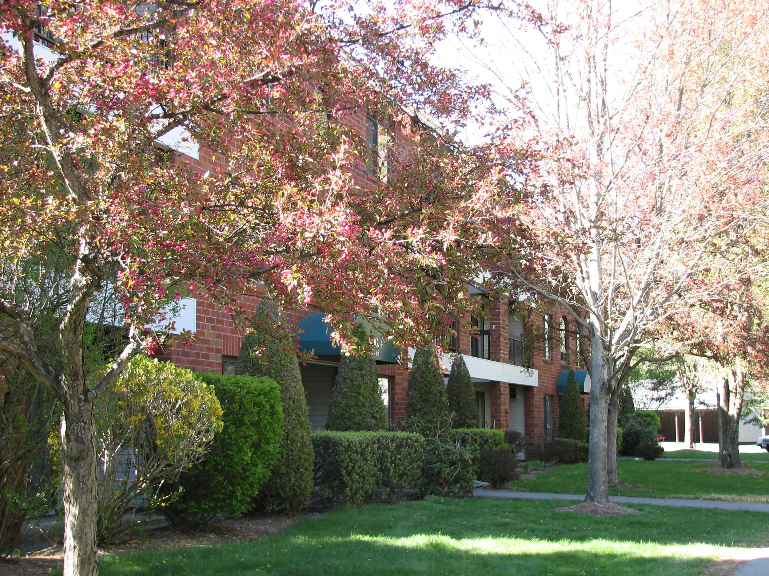 Contact — Parkwood & Park Place Apartments 681 Park Avenue \ Keene, NH 03431 Phone (603)3520911